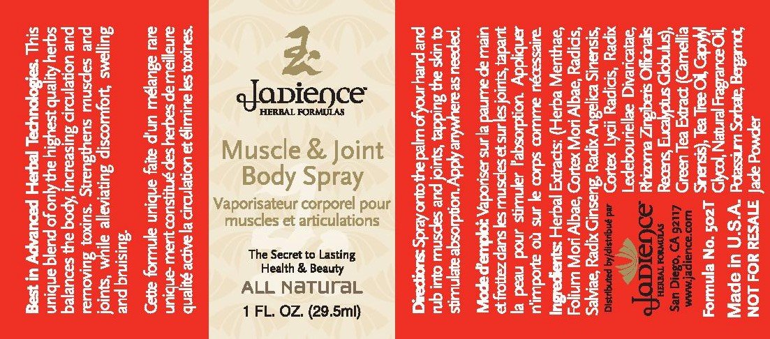 Jadience Severe Pain Relief Kit: Penetrates Deep for Muscle Pull Recovery, Joint Support & Sciatic Nerve| Dit Da Jow Topical Analgesic for Back, Neck, Shoulders, Hips, Knees, Ankles, Elbows & Wrists JADIENCE buy supplements canada