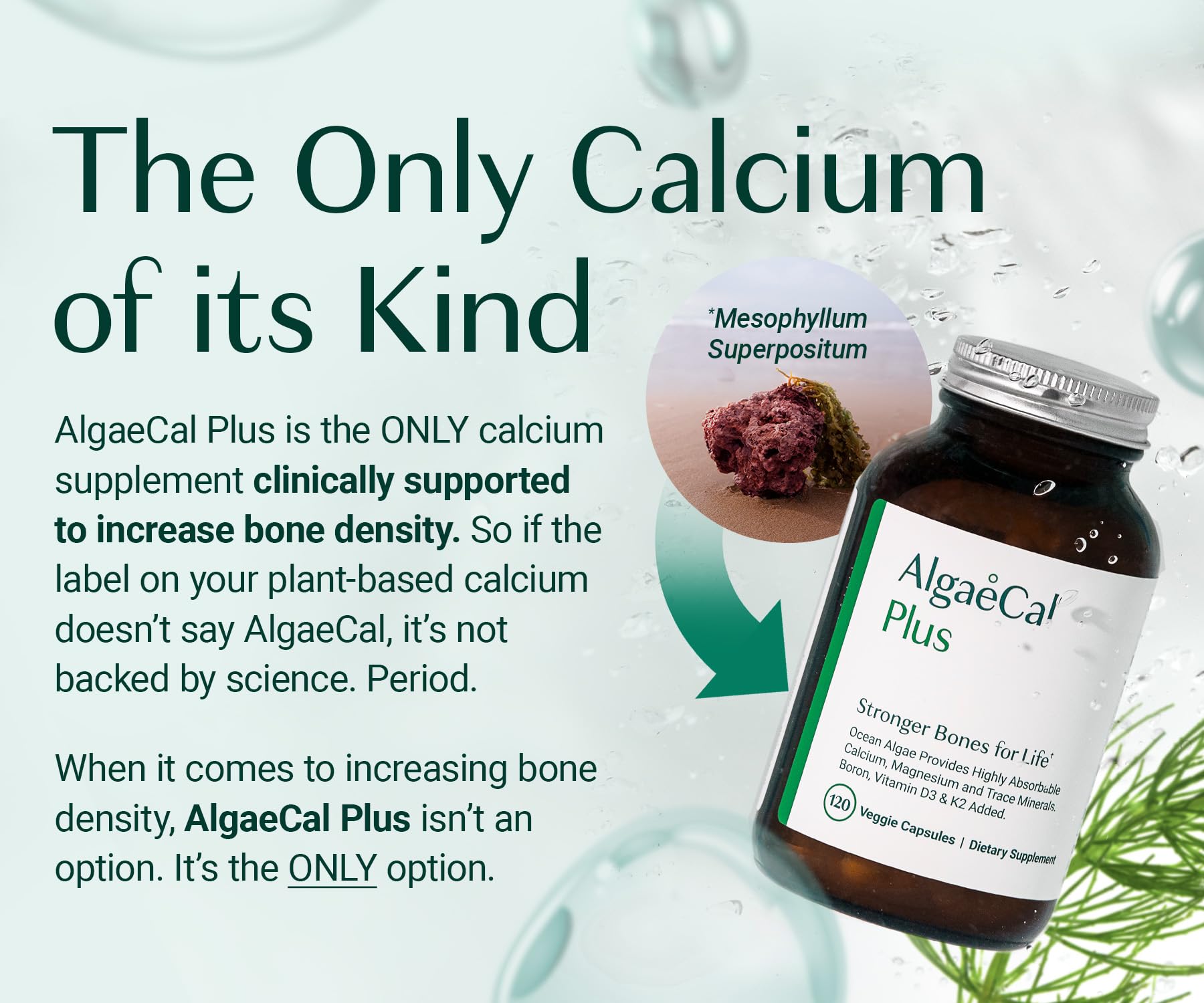 ALGAECAL Bone Builder Pack - Plant Based Calcium Supplement & Strontium - Organic Calcium 750mg with Vitamin D3 1600 IU, Vitamin K2, Magnesium