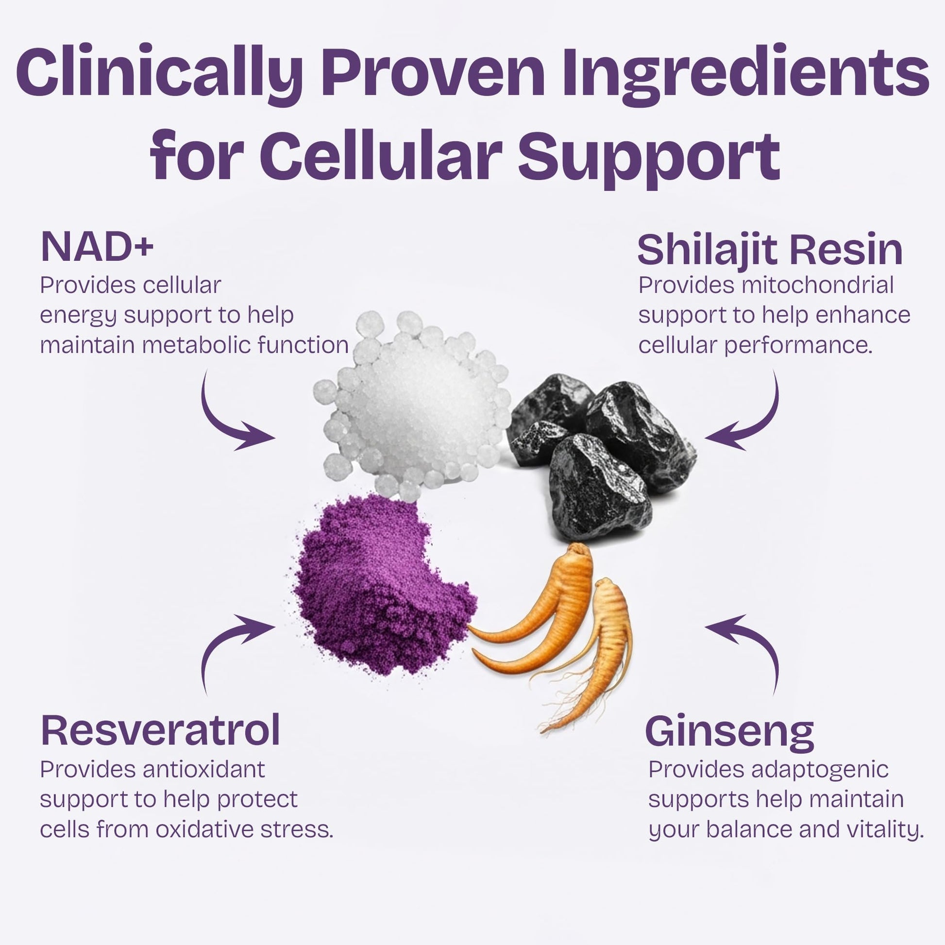 NAD Supplements for Women with Resveratrol, 1000mg Liposomal Nicotinamide Riboside with Quercetin, NMN Supplement Alternative Supports Cellular Energy & Repair, 120 NAD Gummies for Brain Boost Shailee buy supplements canada