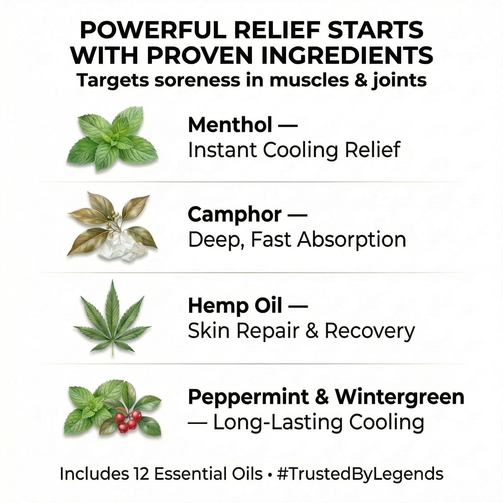 ZEN Hemp Balm 3 Pack – Fast-Acting Pain Relief for Muscles & Joints – Plant-Based Topical – 0.7 oz Each ZEN buy supplements canada
