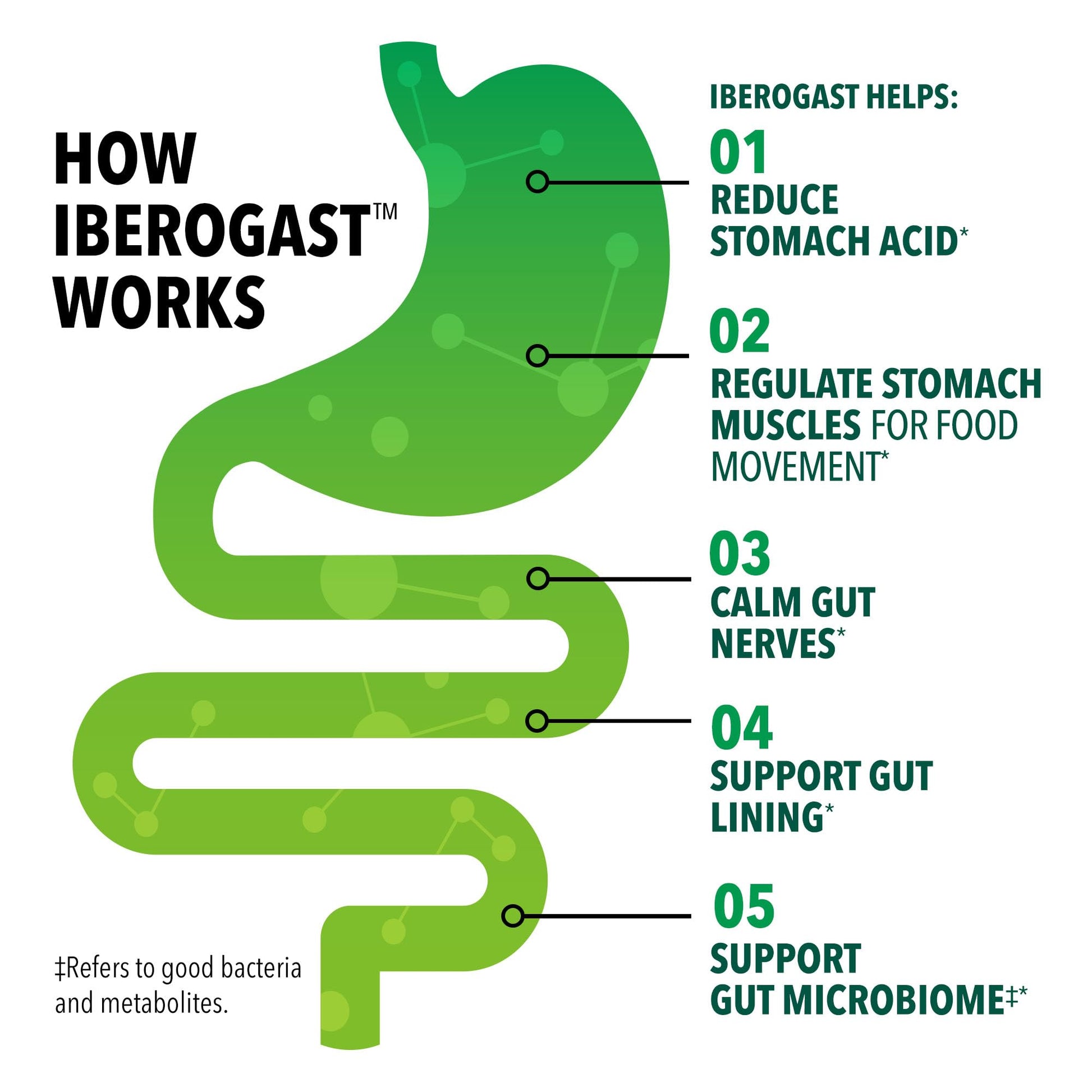 Iberogast Softgels, Herbal Relief of Stomach Upsets: Occasional Indigestion, Bloating, Gas, Nausea, Upset Stomach; 6-Herb Blend with Iberis Amara, Iberogast buy supplements canada