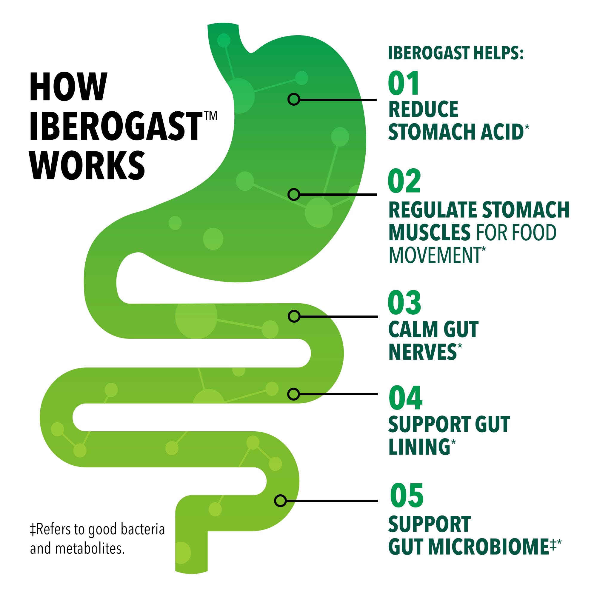 Iberogast Softgels, Herbal Relief of Stomach Upsets: Occasional Indigestion, Bloating, Gas, Nausea, Upset Stomach; 6-Herb Blend with Iberis Amara, Iberogast buy supplements canada