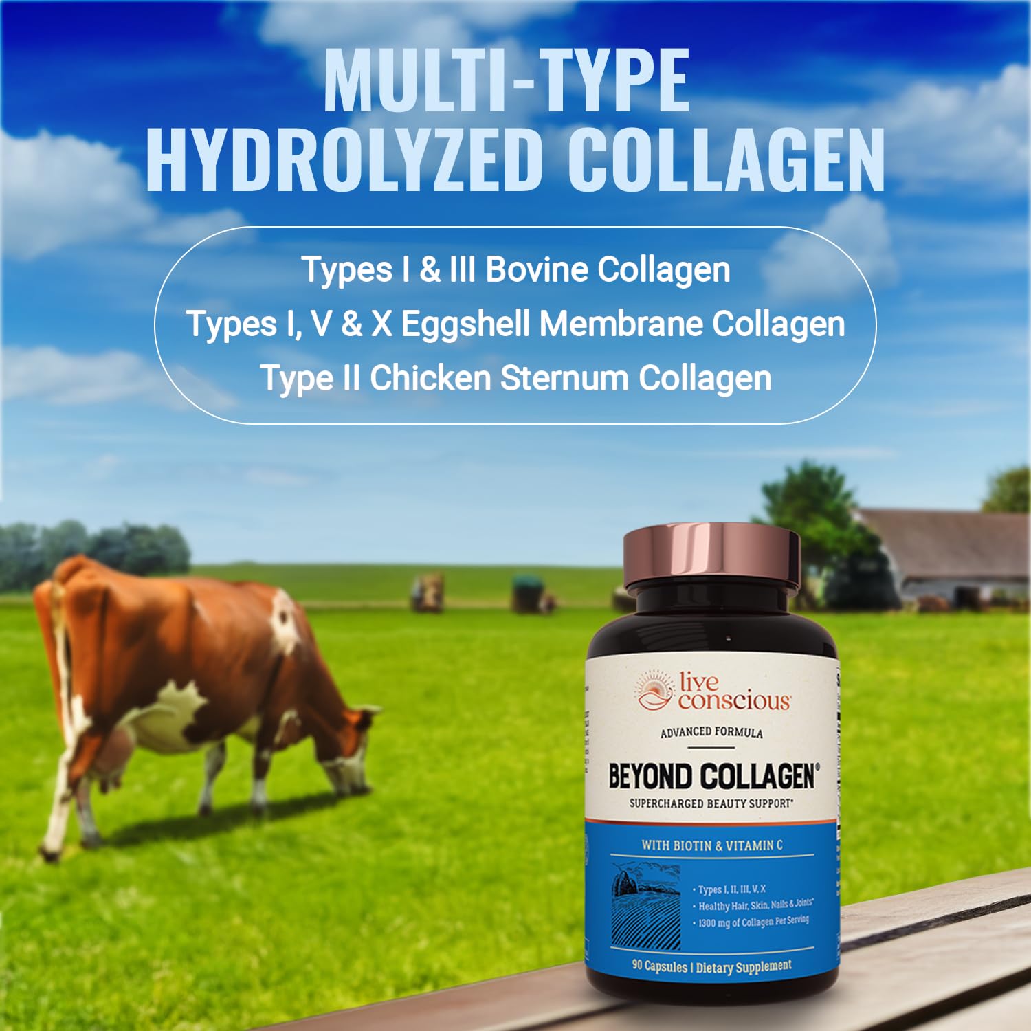 Live Conscious Beyond Collagen Multi Collagen Capsules - Types I, II, III, V & X - Hydrolyzed Blend with Biotin & Vitamin C for Hair, Skin, Nails 90 Capsules Live Conscious buy supplements canada