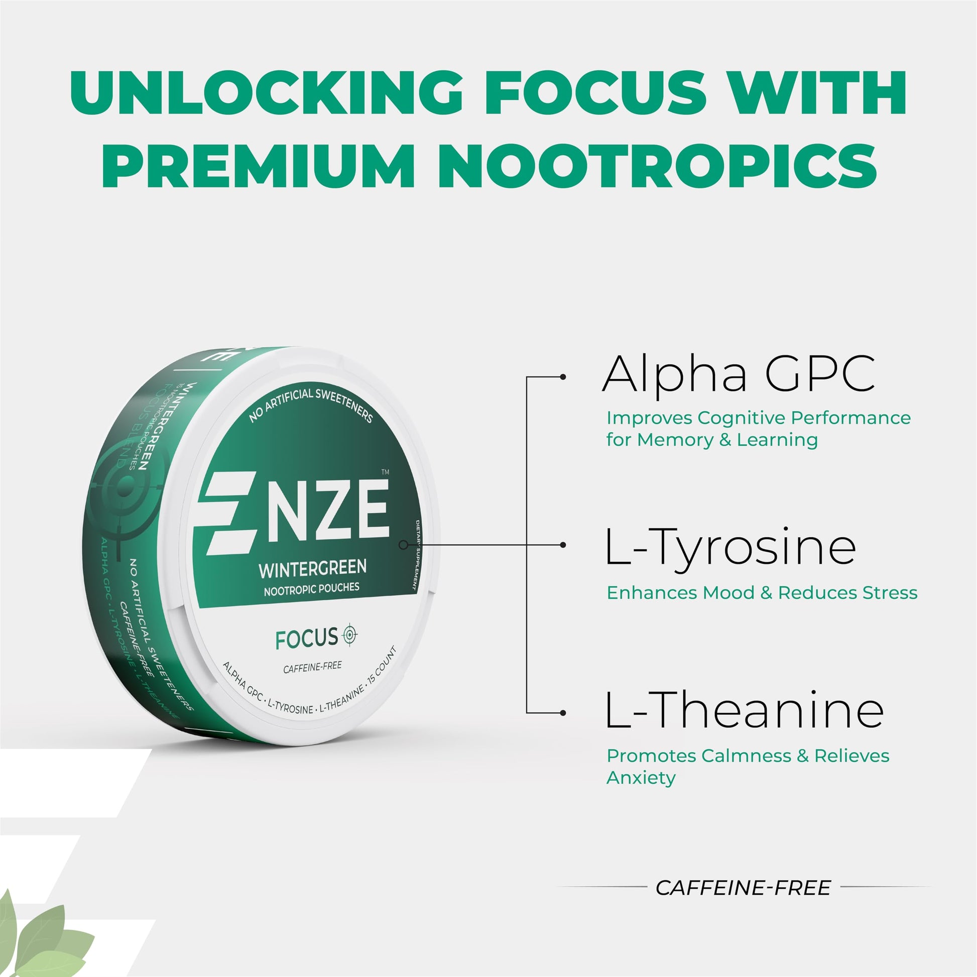 NZE Caffeine Free Nootropic Pouches (Wintergreen) - Nootropic Pouches with Alpha GPC, L-Tyrosine & L-Theanine - No Sugar or Artificial Sweeteners - 15 Pouches Per Can - 5 Pack NZE buy supplements canada