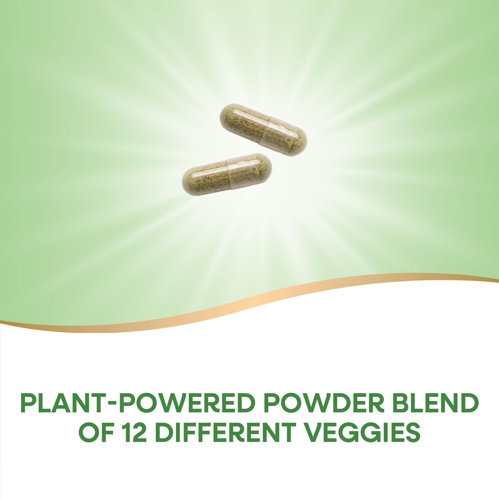 Nature's Way Garden Veggies, Veggie Powder Blend, 900 mg per 2-Capsule Serving, 60 Vegan Capsules Nature's Way buy supplements canada