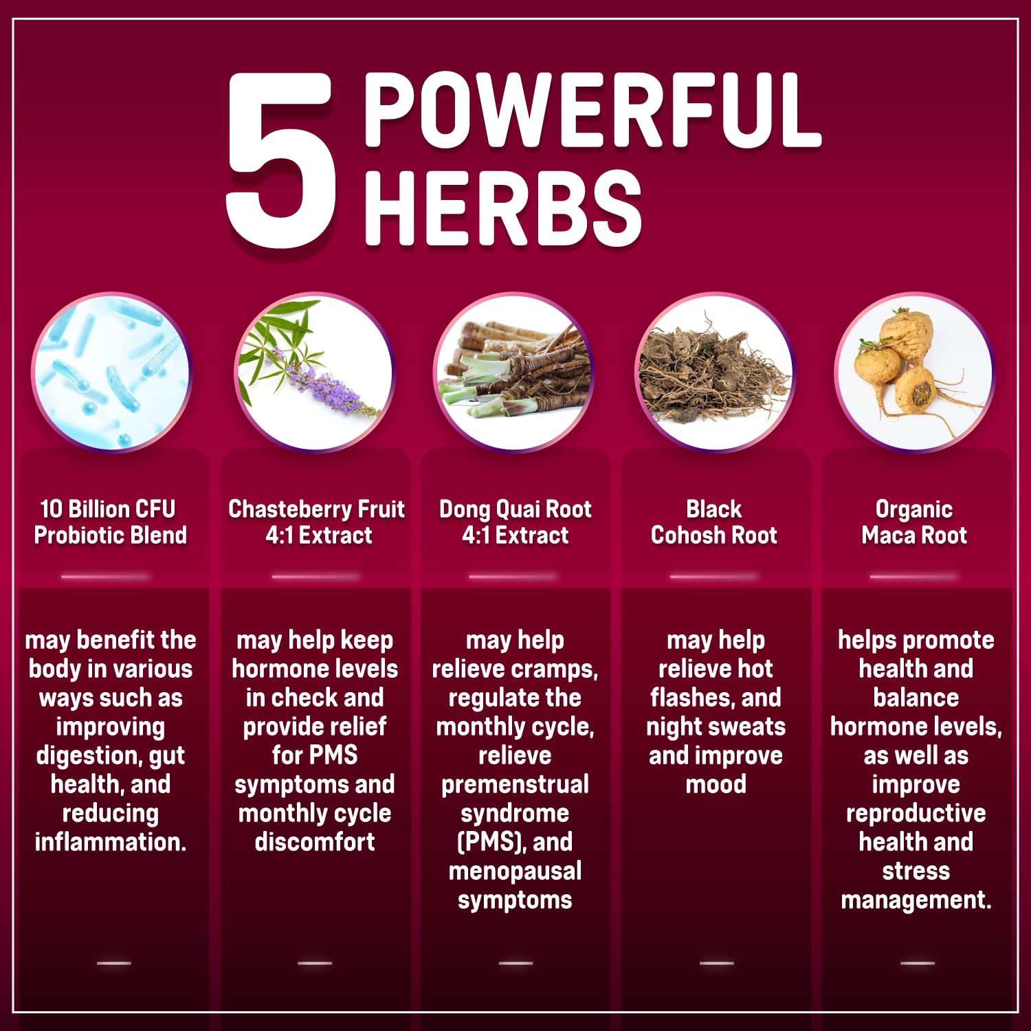 Hormone Balance + Probiotics for Women- Natural Menopause Relief, Weight Management, Bloating, Hot Flashes, PMS | Organic Maca, Chasteberry, Dong Quai & Black Cohosh | Non GMO |120 V Capsules Rainbow Nutrients, LLC buy supplements canada