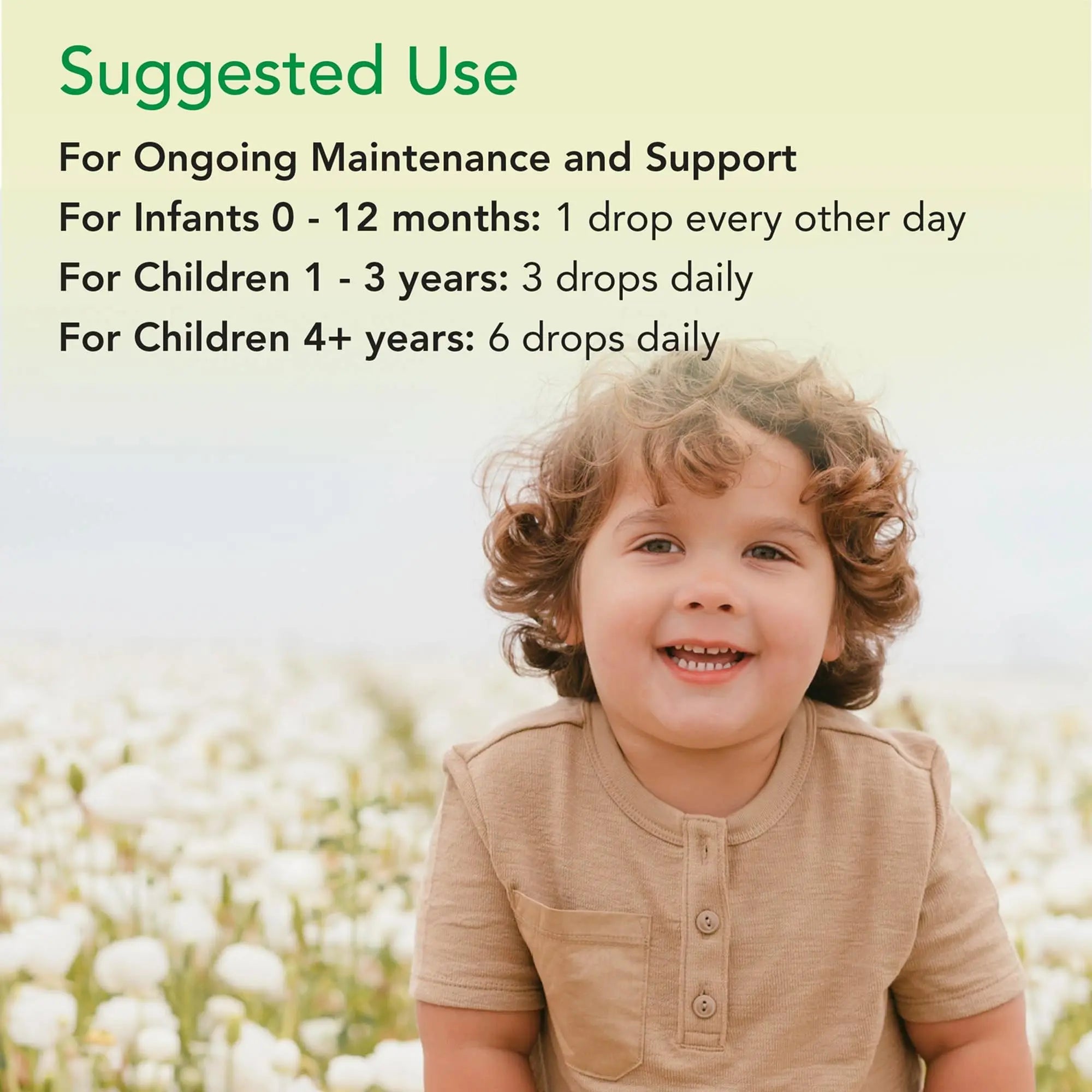 CHILDLIFE Essentials Organic Vitamin K2 Drops - Infant Toddler Baby Vitamin K, K2 Supplement, Vitamin K2 MK7, Liquid K2, Vitamin K Drops CHILDLIFE ESSENTIALS buy supplements canada