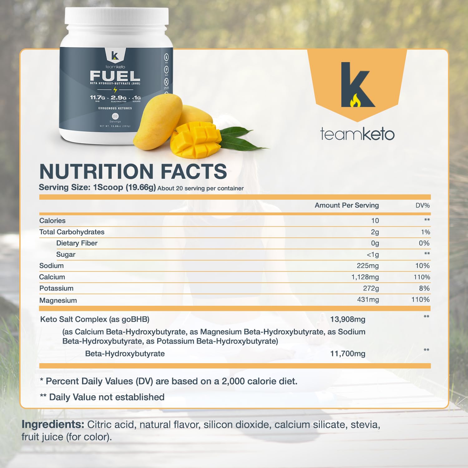 TeamKeto exogenous Ketones Powder, Pure Keto BHB Salts | Dairy & Gluten Free-Best Keto TeamKeto buy supplements canada