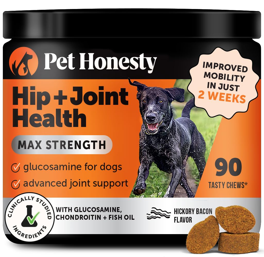 Pet Honesty Hip & Joint Health Max Strength – Dog Joint Support Chews with Glucosamine Chondroitin & Omega-3s – Joint Supplement for Dogs to Support Mobility, Flexibility & Comfort – Bacon (90 ct) Pet Honesty buy supplements canada