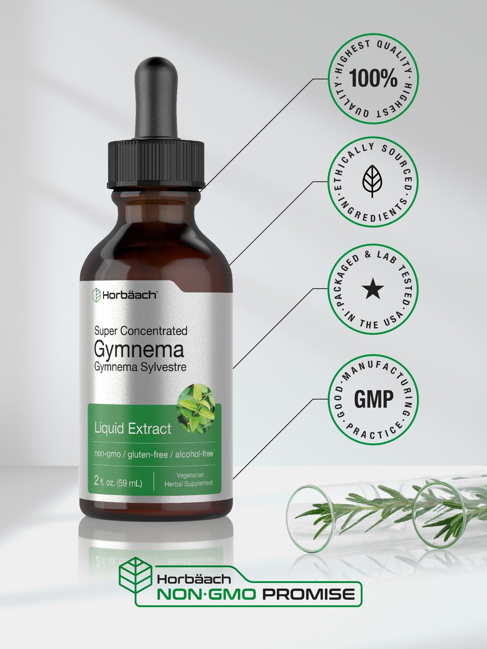 Gymnema Sylvestre Liquid | 2 fl oz | Alcohol Free Supplement | Super Concentrated Horbäach buy supplements canada