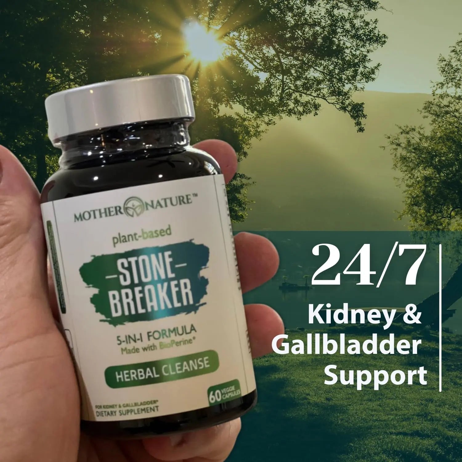 Stone Breaker Chanca Piedra Capsules, Dissolve Kidney & Gallbladder, Detoxify Urinary Tract, Flush Impurities, Kidney Support with Celery Seed Extract - 60 Veg Capsules Mother Nature Organics Superfoods for Organic Living buy supplements canada