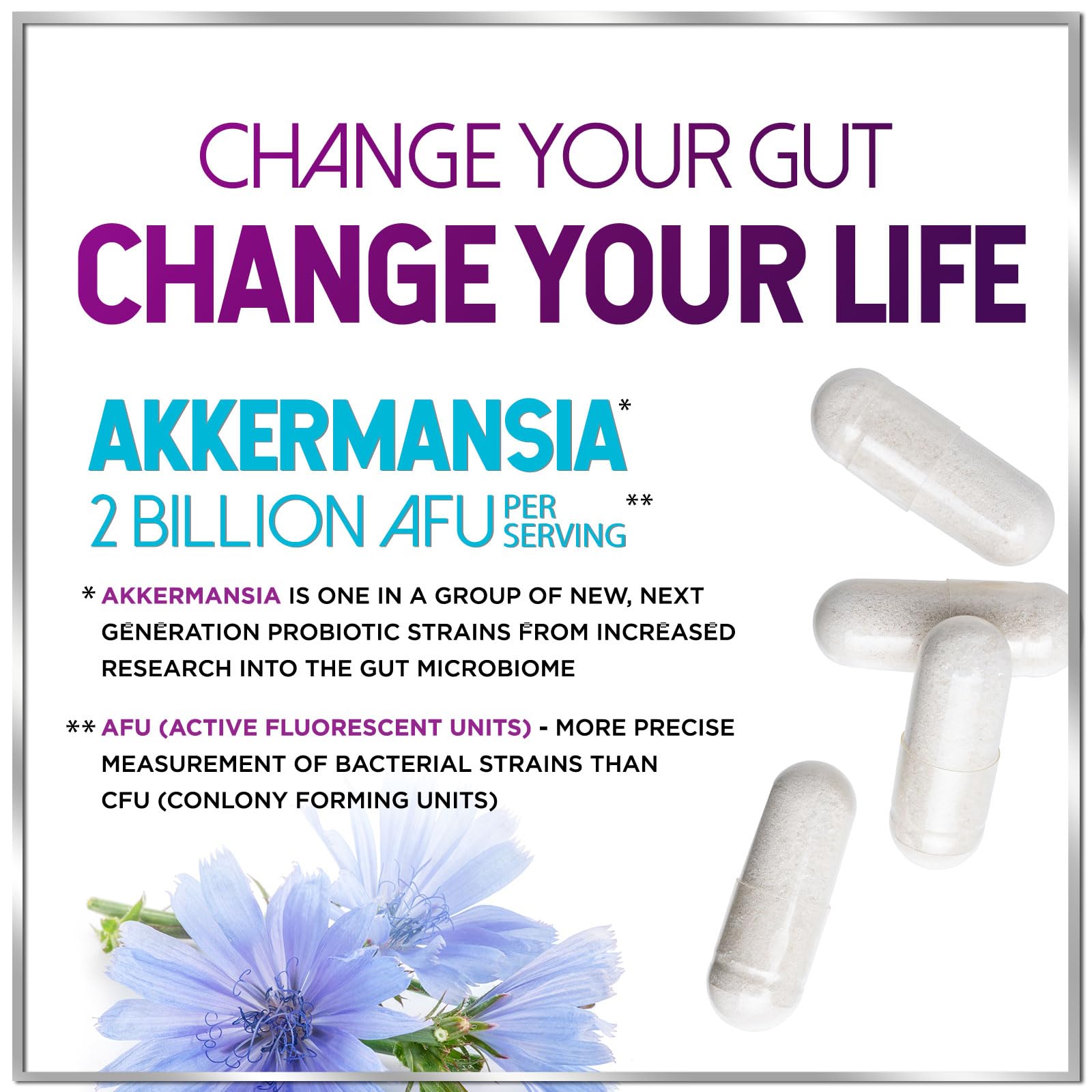 Akkermansia Probiotic - 2 Billion AFU per Serving - Best Strain for GLP-1 Production Support with Prebiotic Fiber for Natural Digestive & Gut Health Hello Lovely! buy supplements canada
