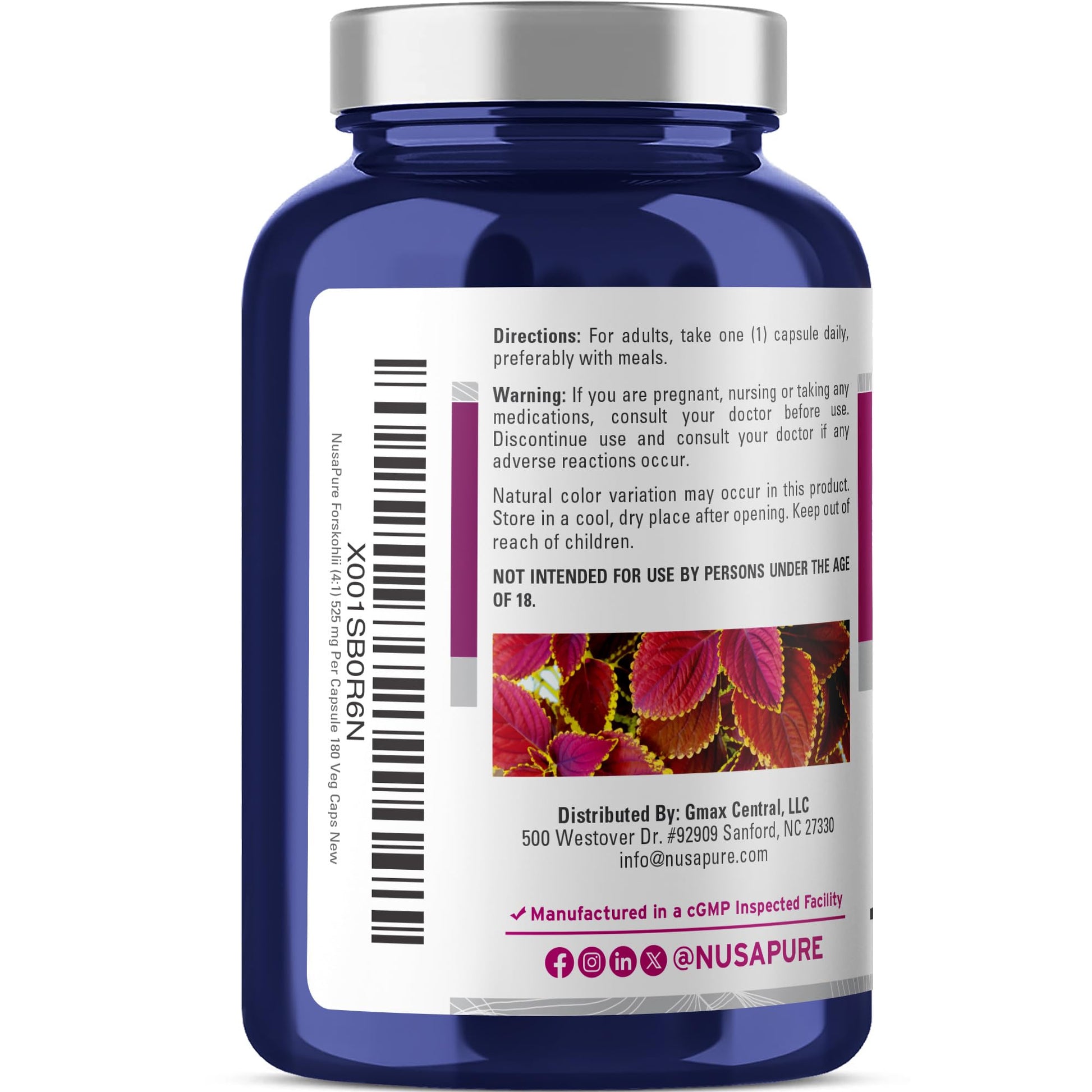 NusaPure Forskohlii 4:1 Extract, 525 mg Equivalent to 21,00 mgper Veggie Caps - 180 Capsules (Non-GMO, Vegan & Gluten Free) NusaPure buy supplements canada