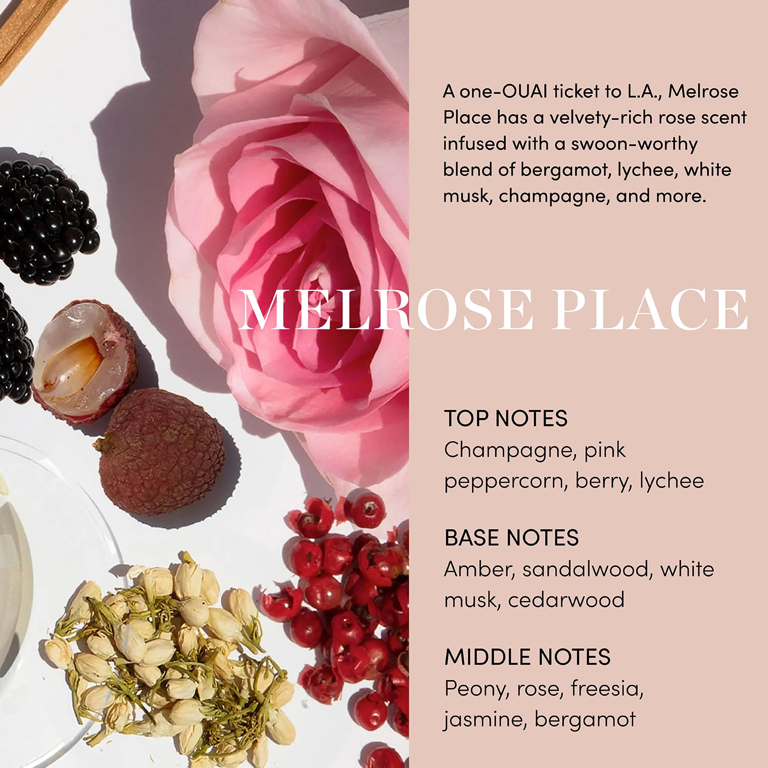 OUAI Body Cleanser, Melrose Place - Foaming Body Wash with Jojoba Oil and Rosehip Oil to Hydrate, Nurture, Balance and Soften Skin - Paraben, Phthalate and Sulfate Free Skin Care Products (10 Fl Oz) OUAI buy supplements canada