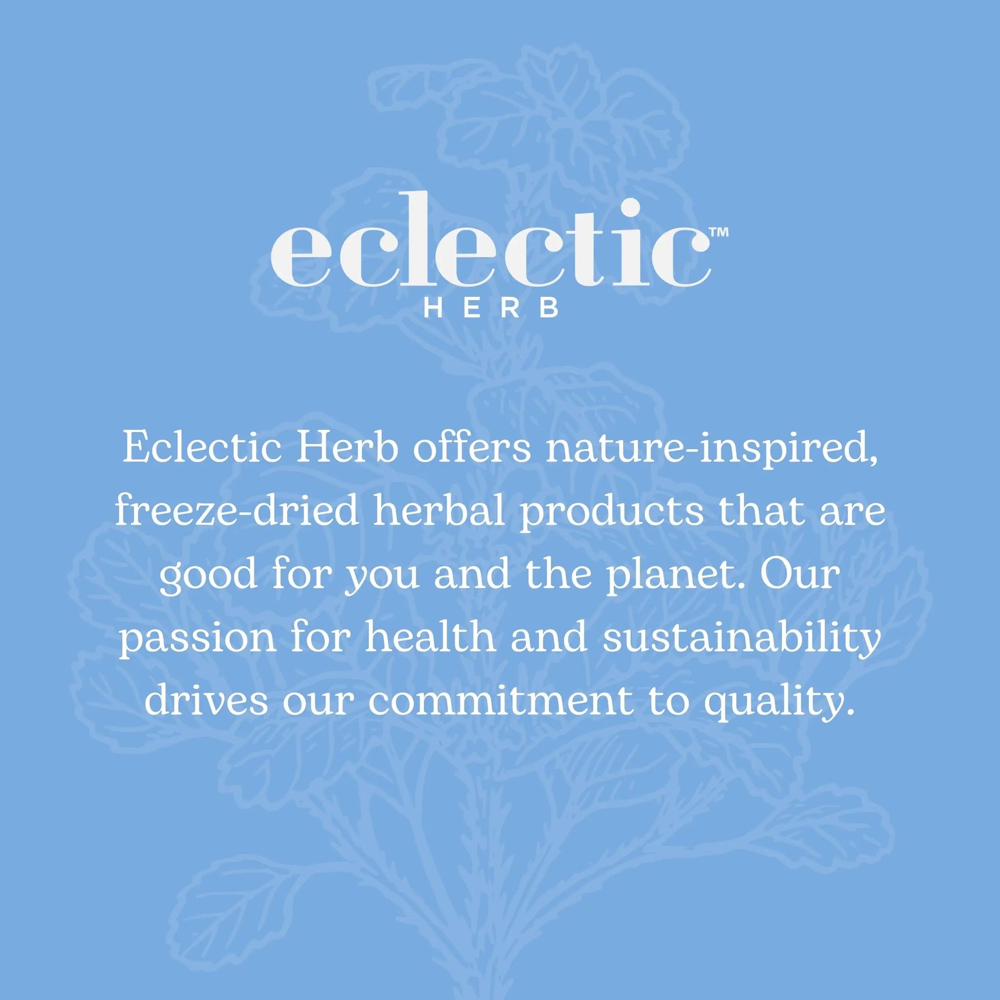 Eclectic Institute Stone Root O 2 Ounce ECLECTIC INSTITUTE buy supplements canada