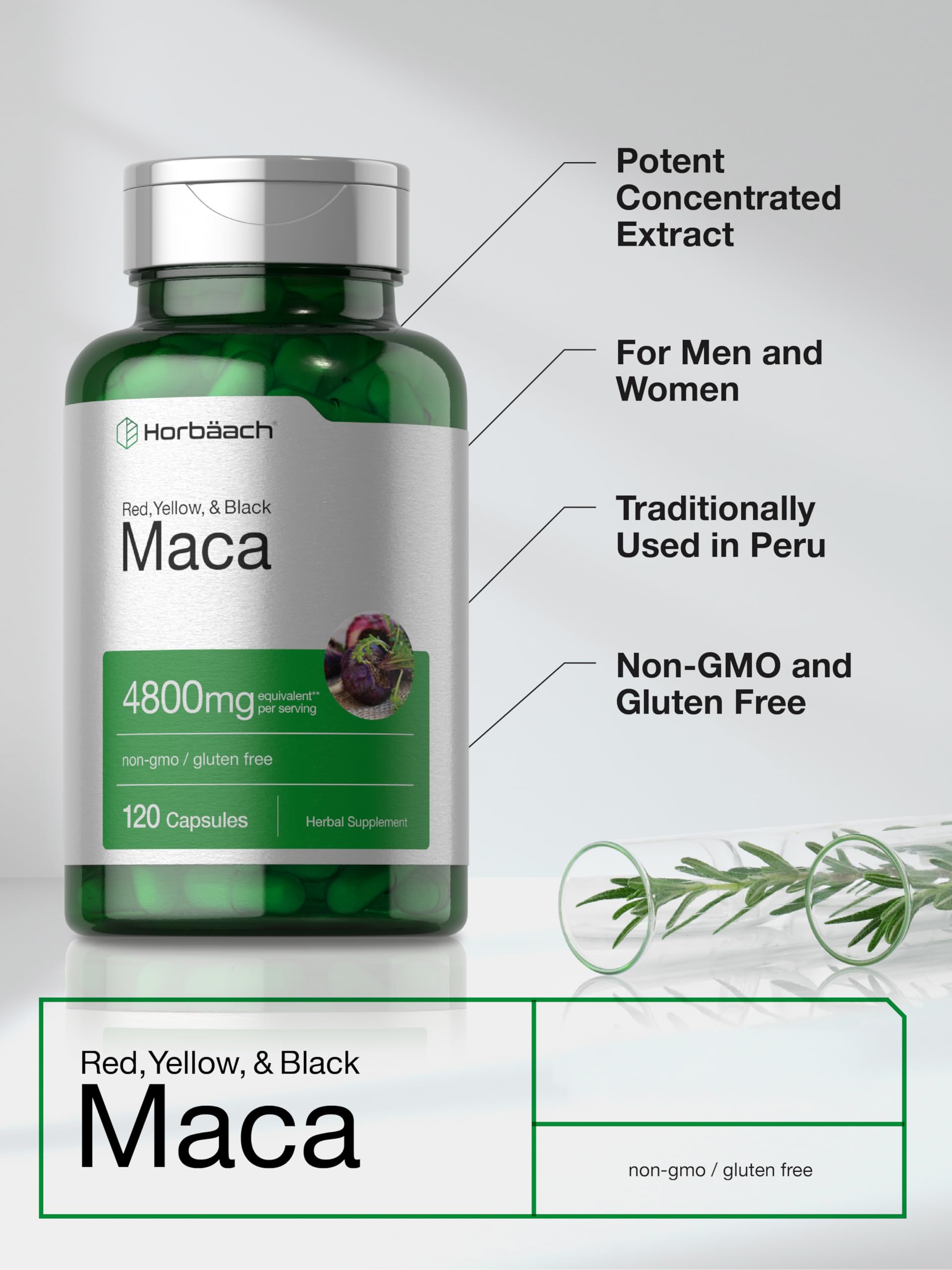 Horbäach Maca Root Capsules for Men and Women | 120 Pills | High Potency Extract | Non-GMO and Gluten Free Formula Horbäach buy supplements canada