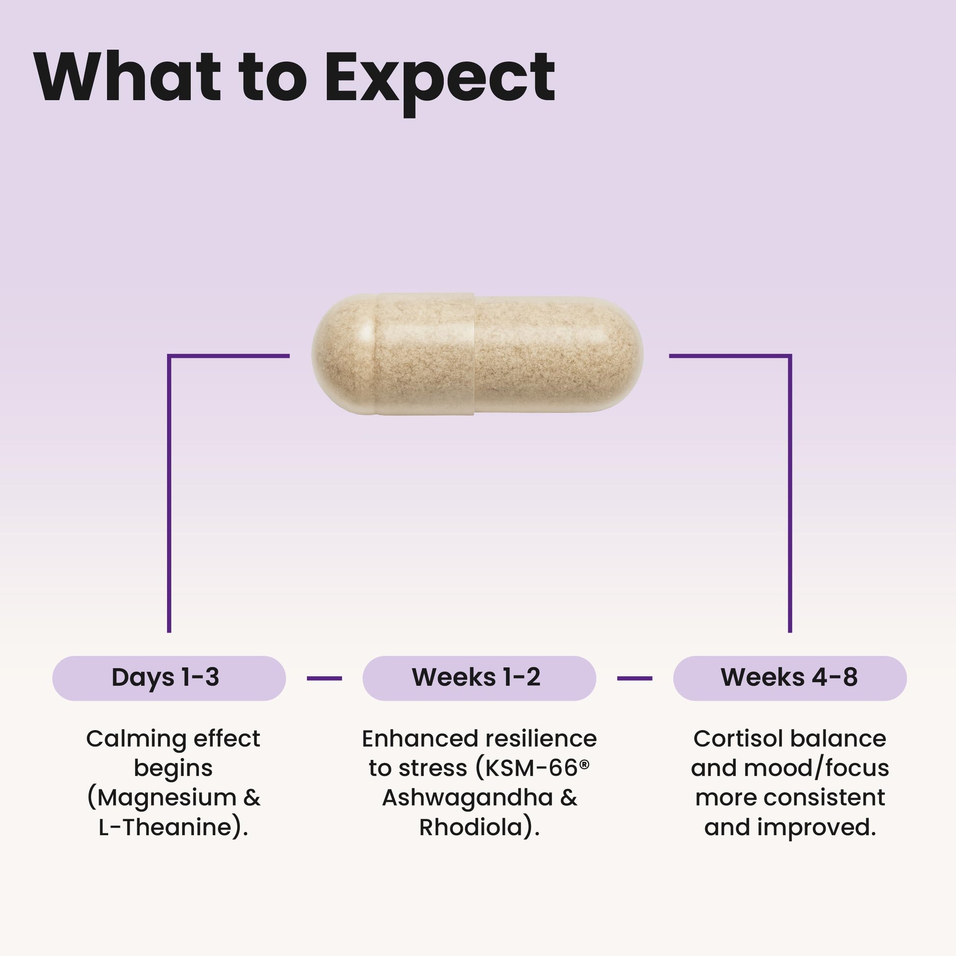 WellPath Soothe Cortisol Manager - Cortisol Supplements for Women with KSM-66® Ashwagandha & L-Theanine - Stress Support, Detox - 11-in-1 Complex, Vegan, Made in USA, Non-GMO, 60 Ct WellPath buy supplements canada