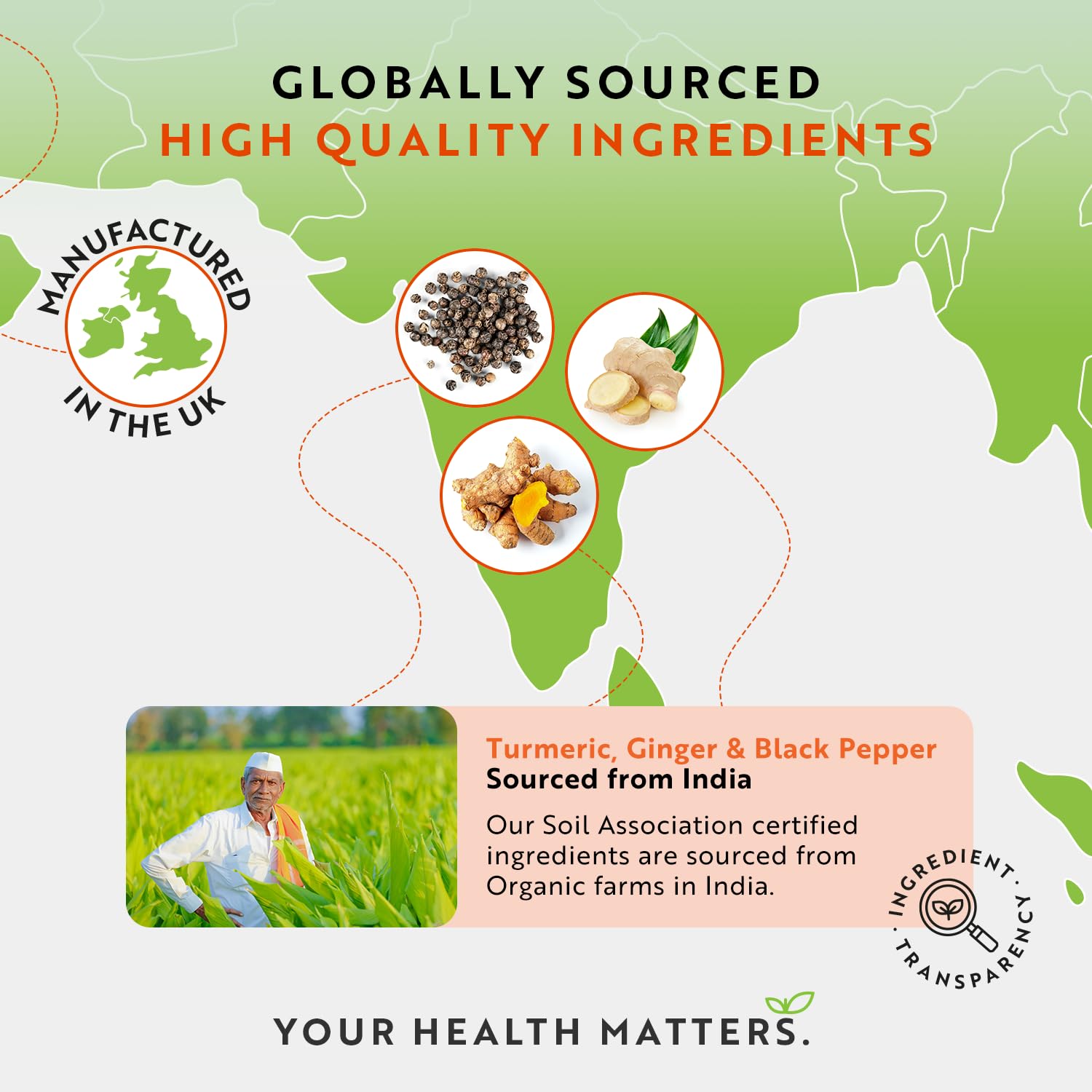 Organic Turmeric 1440mg (High Strength) with Black Pepper & Ginger - 180 Vegan Turmeric Nutravita buy supplements canada