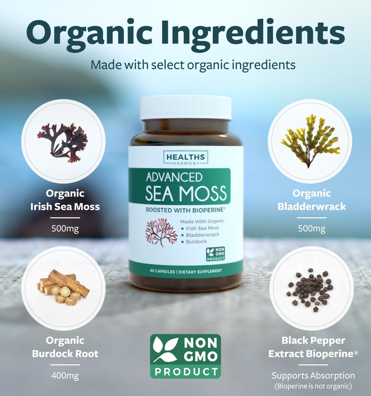 Organic Irish Sea Moss Capsules - Organic Sea Moss Capsules with Bladderwrack Burdock Root and Black Pepper Extract for Enhanced Absorption - Vegan Non-GMO & Made in the USA (1 Month Supply) Healths Harmony buy supplements canada