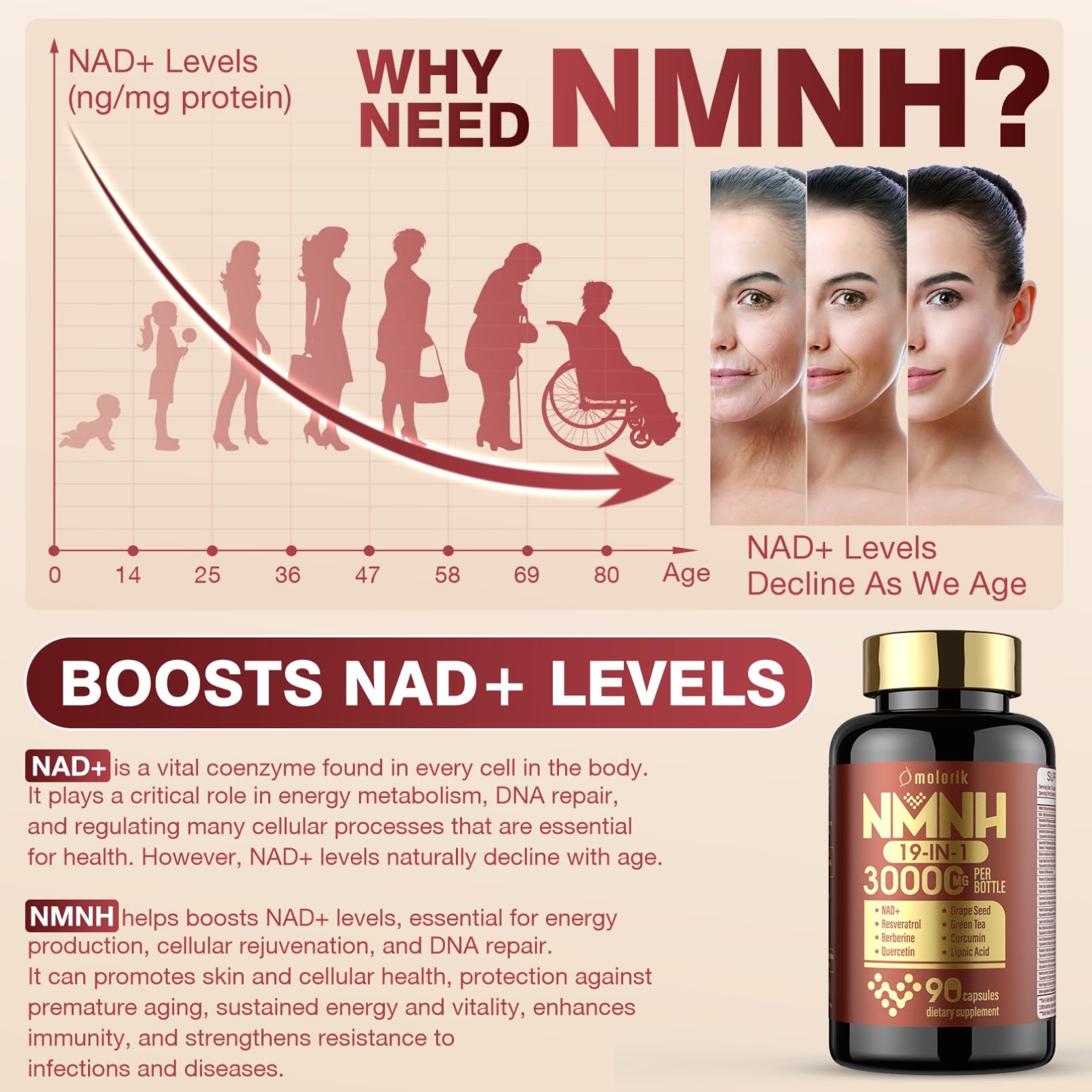 19 in 1 NMNH (Dihydronicotinamide Mononucleotide) 1000mg Per Serving, Nad Supplement Boost NAD+ Levels Nad Resveratrol Supplement with Quercetin, Vitamin D3 K2, Healthy Aging, Energy, 90 Capsules molorik pure buy supplements canada