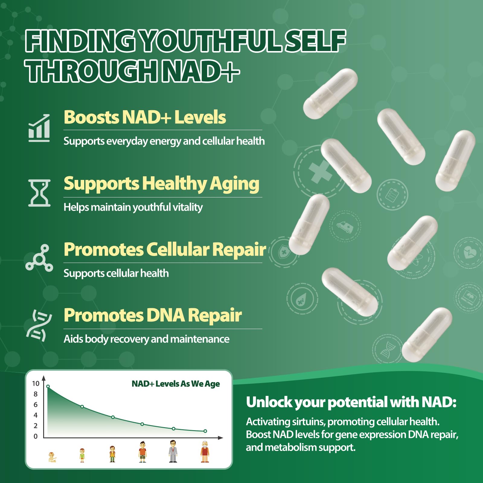 Windboss Liposomal NAD+ Supplement with Nicotinamide Riboside & Resveratrol, NAD Booster for Cellular Energy, Anti-Aging & Metabolism – NMN Alternative, NAD Supplement for Men & Women – 2pcs Windboss buy supplements canada