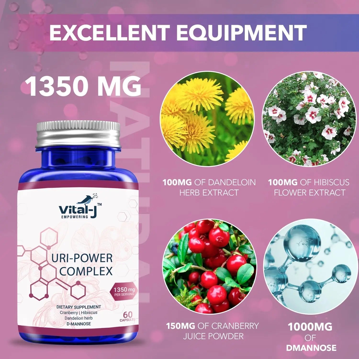 4-IN-1 URI POWER COMPLEX 1350mg - D Mannose, Cranberry, Hibiscus, and Dandelion Herb - Naturally Cleanse the Bladder and Urinary Tract 60 capsules – Specialized Approach for UTI Avoidance Vital-J Empowering buy supplements canada