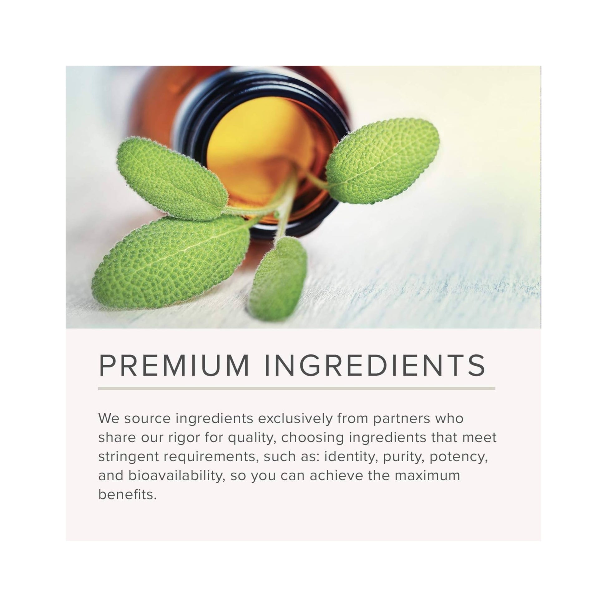 NusaPure Butterbur Extract 100mg per caps 200 Veggie Capsules (Non-GMO, Vegetarian, Vegan) NusaPure buy supplements canada