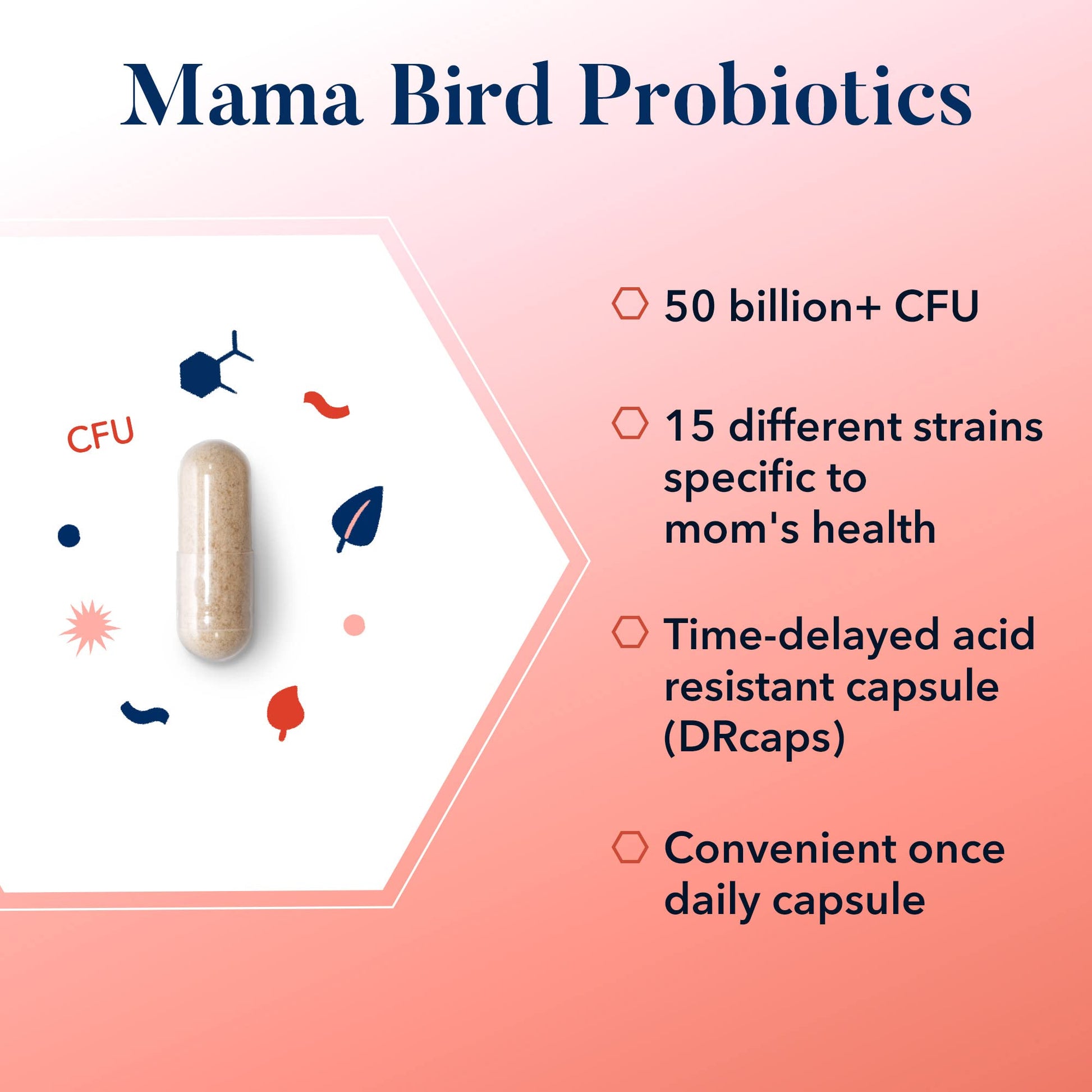 Best Nest Wellness Mama Bird Probiotics for Prenatal, Postnatal, Fertility, Women Digestive Best Nest Wellness buy supplements canada