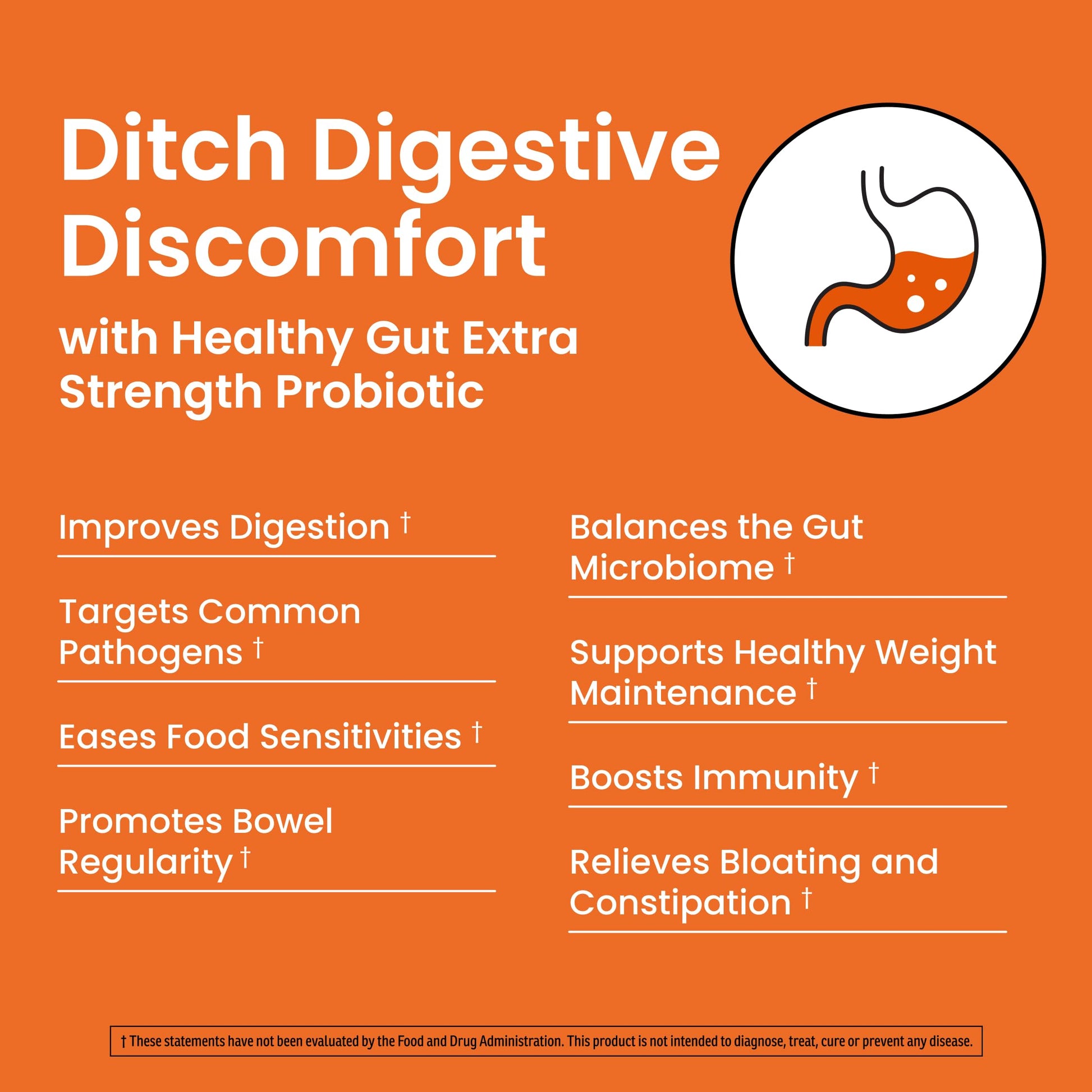 Ombre Healthy Gut Probiotics for Digestive Health 100 Billion CFU - Prebiotics and Probiotics for Women & Men with Lactobacillus Acidophilus & Digestive Enzymes, Gut Health Support, Vegan, 30 Servings Ombre buy supplements canada
