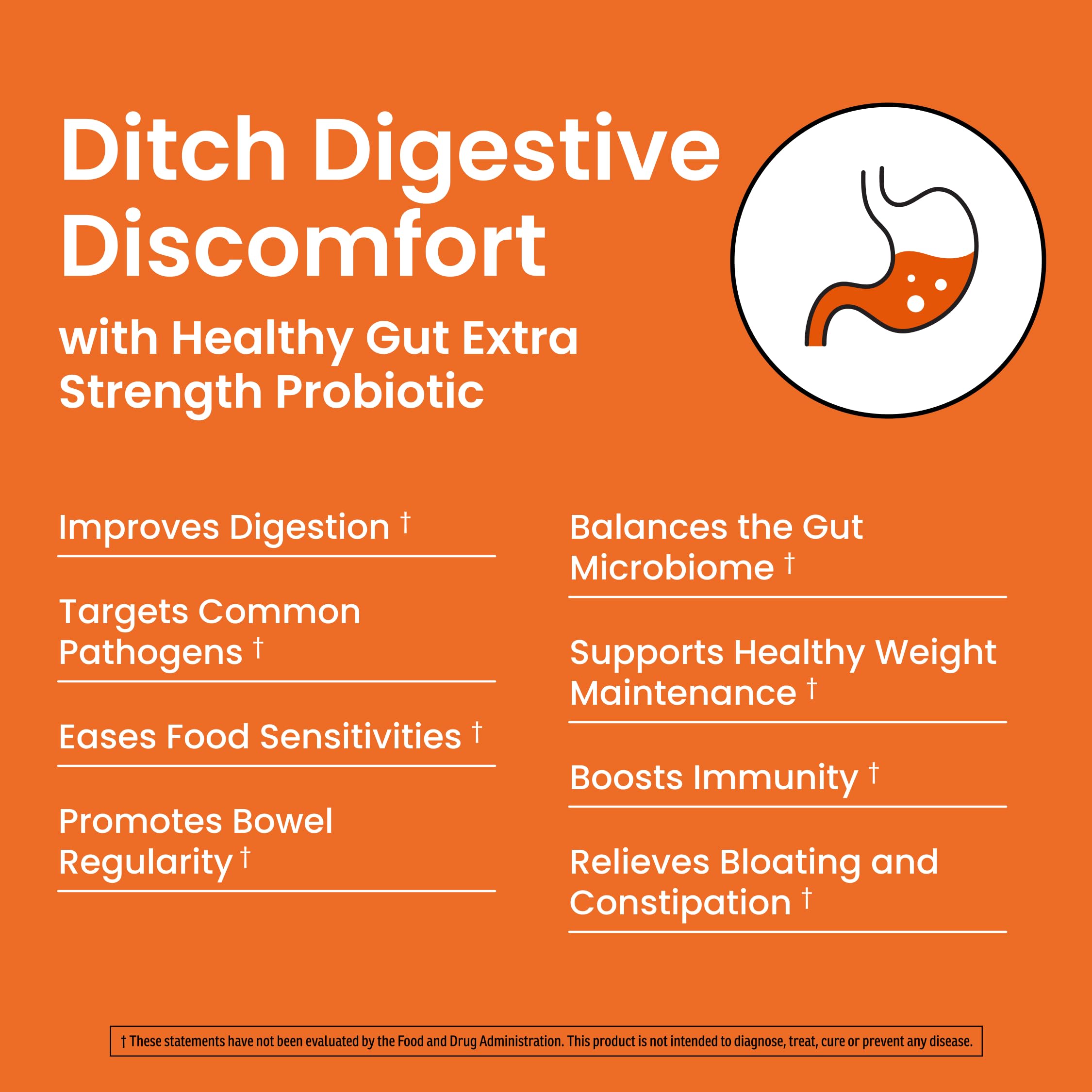Ombre Healthy Gut Probiotics for Digestive Health 100 Billion CFU - Prebiotics and Probiotics for Women & Men with Lactobacillus Acidophilus & Digestive Enzymes, Gut Health Support, Vegan, 30 Servings Ombre buy supplements canada