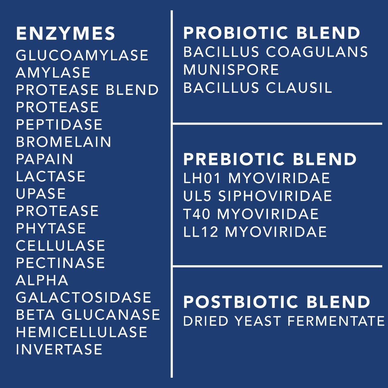 4-in-1 Prebiotic Probiotic & Postbiotic for Women & Men, Complete Gut & Digestive Support PLANT.O NUTRITION buy supplements canada