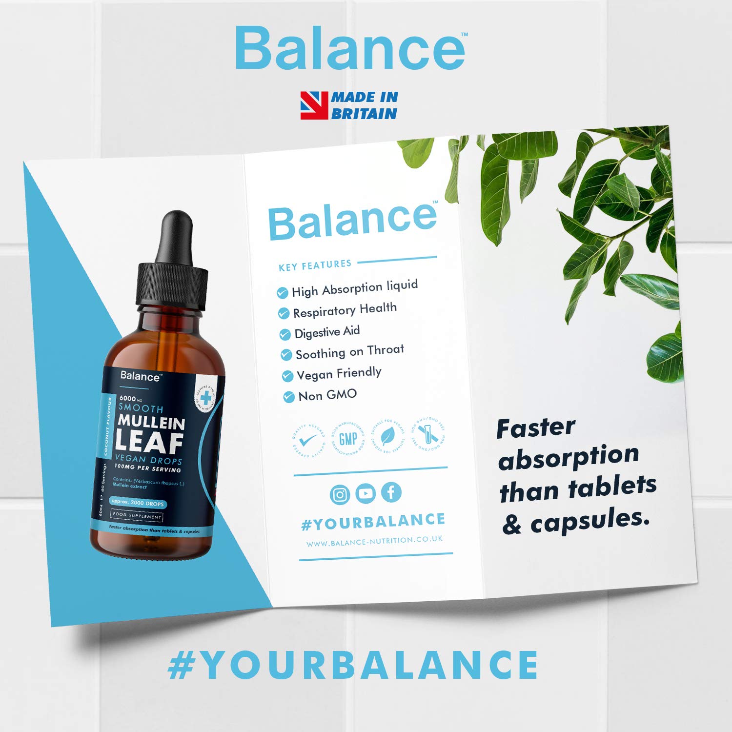 Balance Mullein Leaf Liquid Drops - 60ml for 2 Month Supply - High Strength - Vegan Balance buy supplements canada