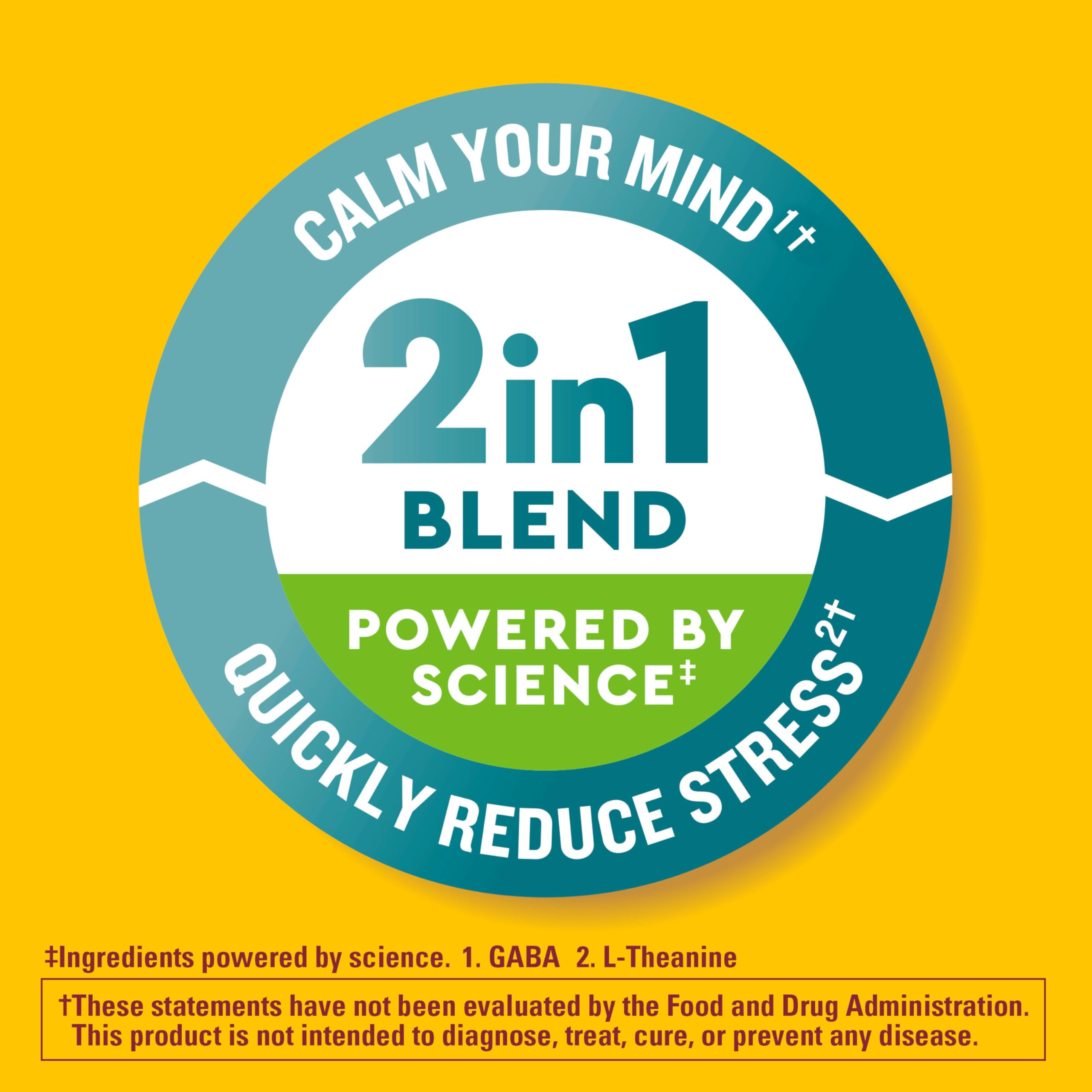 Nature Made Wellblends Stress Relief Gummies, L theanine 200mg to Help Reduce Stress, with GABA 100mg, Same Day Stress Support, 40 Strawberry Flavor Gummies Nature Made buy supplements canada