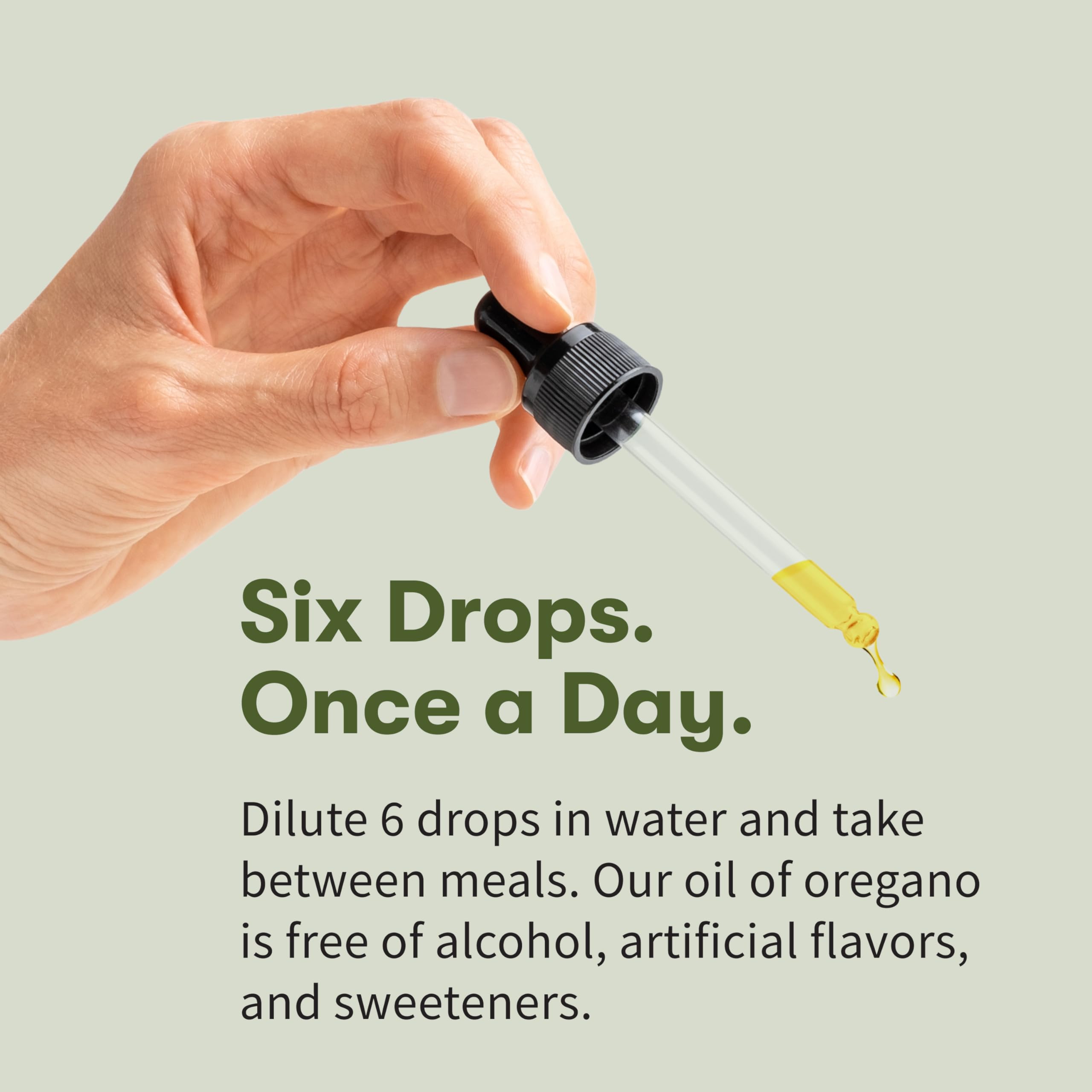 Garden of Life Organics Oil of Oregano Seasonal Drops 1fl oz (30 mL) Liquid, Concentrated Plant Based Immune Support - Alcohol-Free, Organic, Non-GMO Garden of Life buy supplements canada
