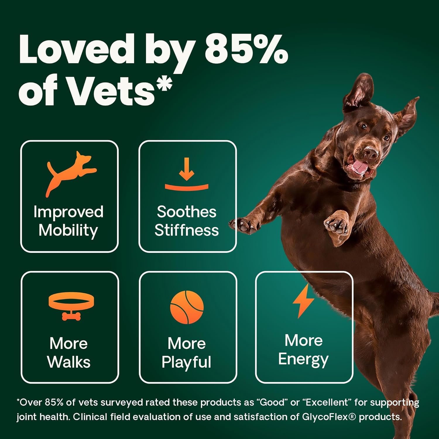 VetriScience Ultimate Strength Healthy Hip & Joint Chews, GlycoFlex Glucosamine, Chondroitin and Green-Lipped Mussel Joint Support Supplement for Dogs, Soothe Joint Discomfort, Duck, 120 Count VETRISCIENCE buy supplements canada