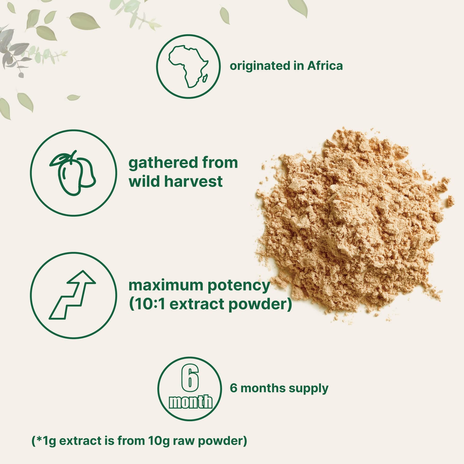Sustainably Africa Grown, Pure African Mango Powder (Irvingia Gabonensis Powder Micro Ingredients buy supplements canada