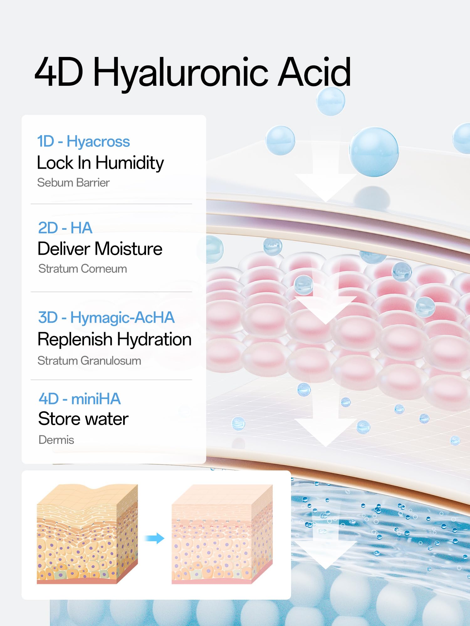 WNP Hyaluronic Acid Serum 3% for Face with 4D Multi-Layer Hydration | Ultra Hydrating Anti-Aging Serum | Moisturizer for Dry & Sensitive Skin WNP buy supplements canada