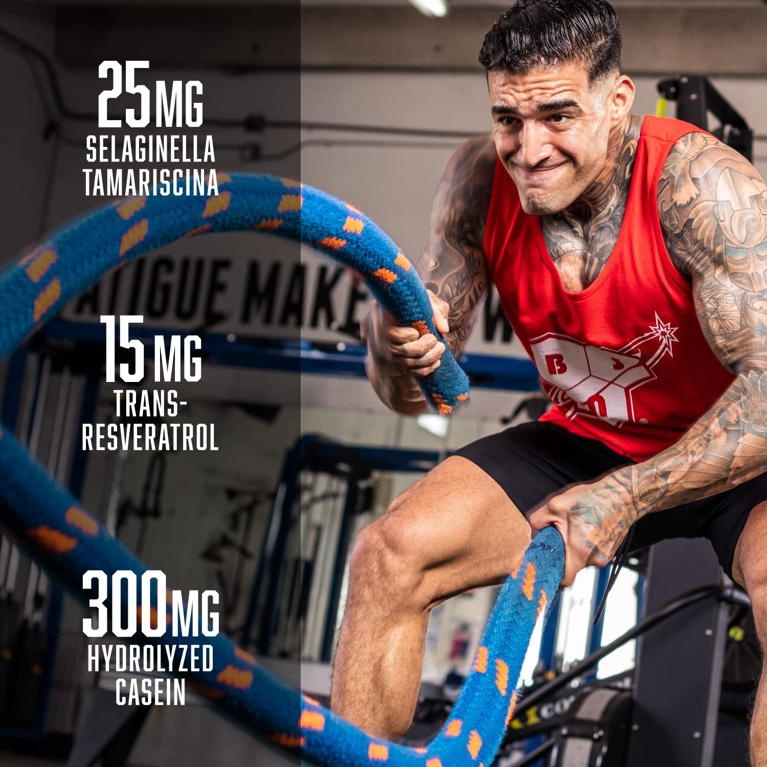 BSN N.O.-XPLODE Vaso Pre Workout Powder with 8g of L-Citulline and 3.2g Beta-Alanine BSN buy supplements canada