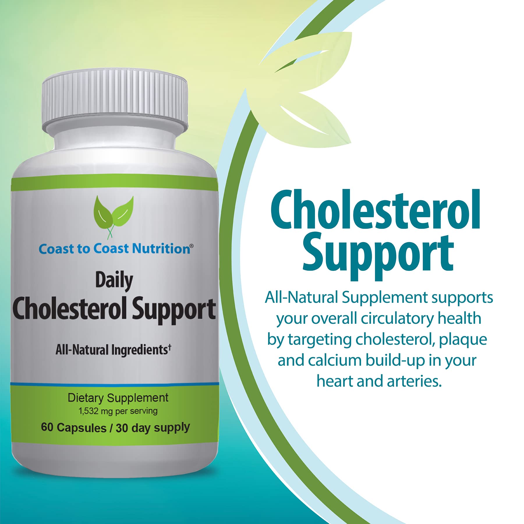 Coast to Coast Nutrition Cholesterol Support Supplement - Support Cardiovascular & Artery Performance, Target Bad LDL Levels & Plaque Calcium Buld-Up - Promote Circulation & Blood Flow - 60 Capsules Coast to Coast Nutrition buy supplements canada