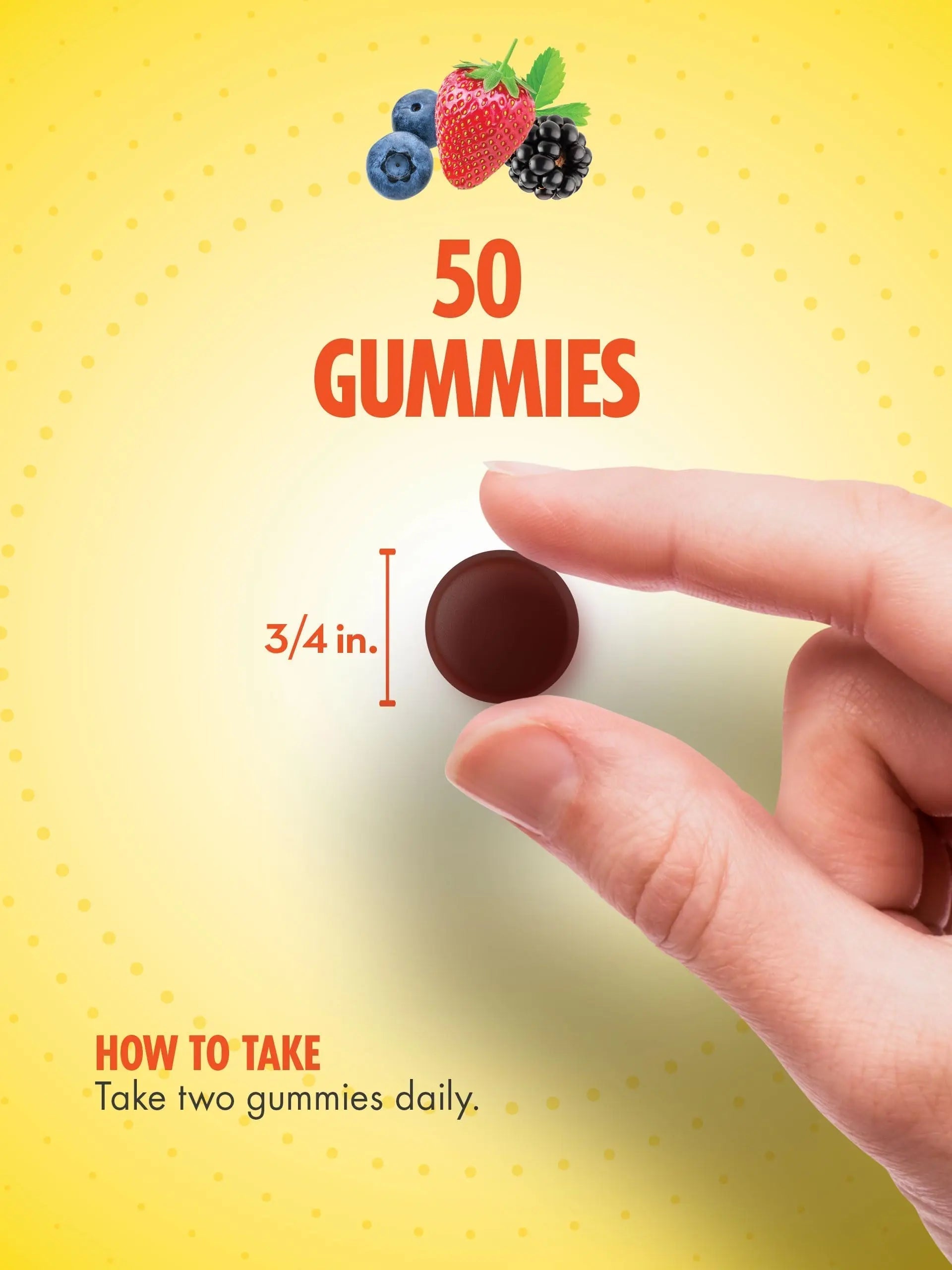 Sundance Multivitamin Gummies for Adults | for Men & Women | Mixed Berry Flavor | Non-GMO and Gluten Free Supplement Sundance buy supplements canada