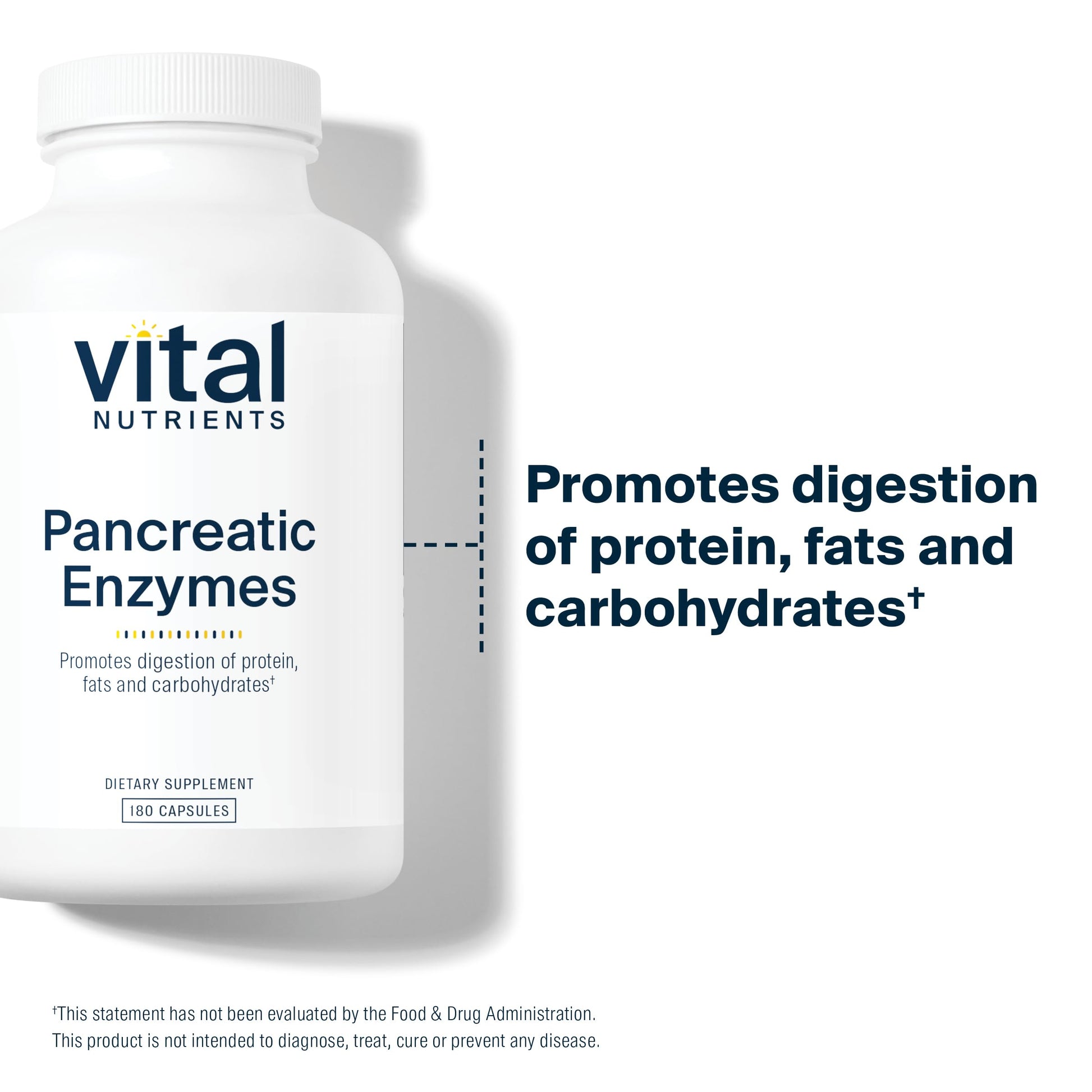 Vital Nutrients Pancreatic Enzymes 1000mg (Full Strength) | Pancreatin Digestion Supple Vital Nutrients buy supplements canada