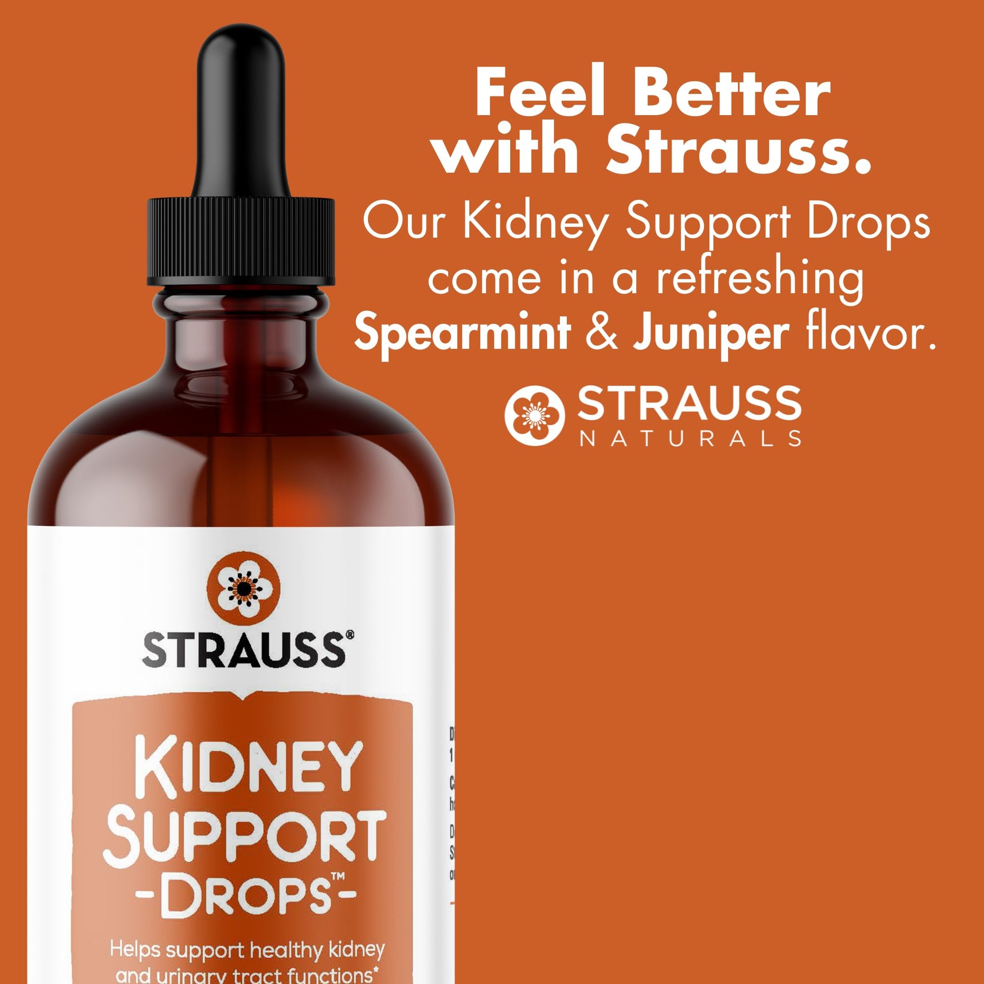Strauss Naturals Kidney Support Drops – Herbal Kidney Support Supplement for Men and Women – Helps with Kidney Health and Urinary Tract Function – Vegan & Non-GMO – Spearmint Flavored – 100 ml Bottle Strauss Heartdrops buy supplements canada
