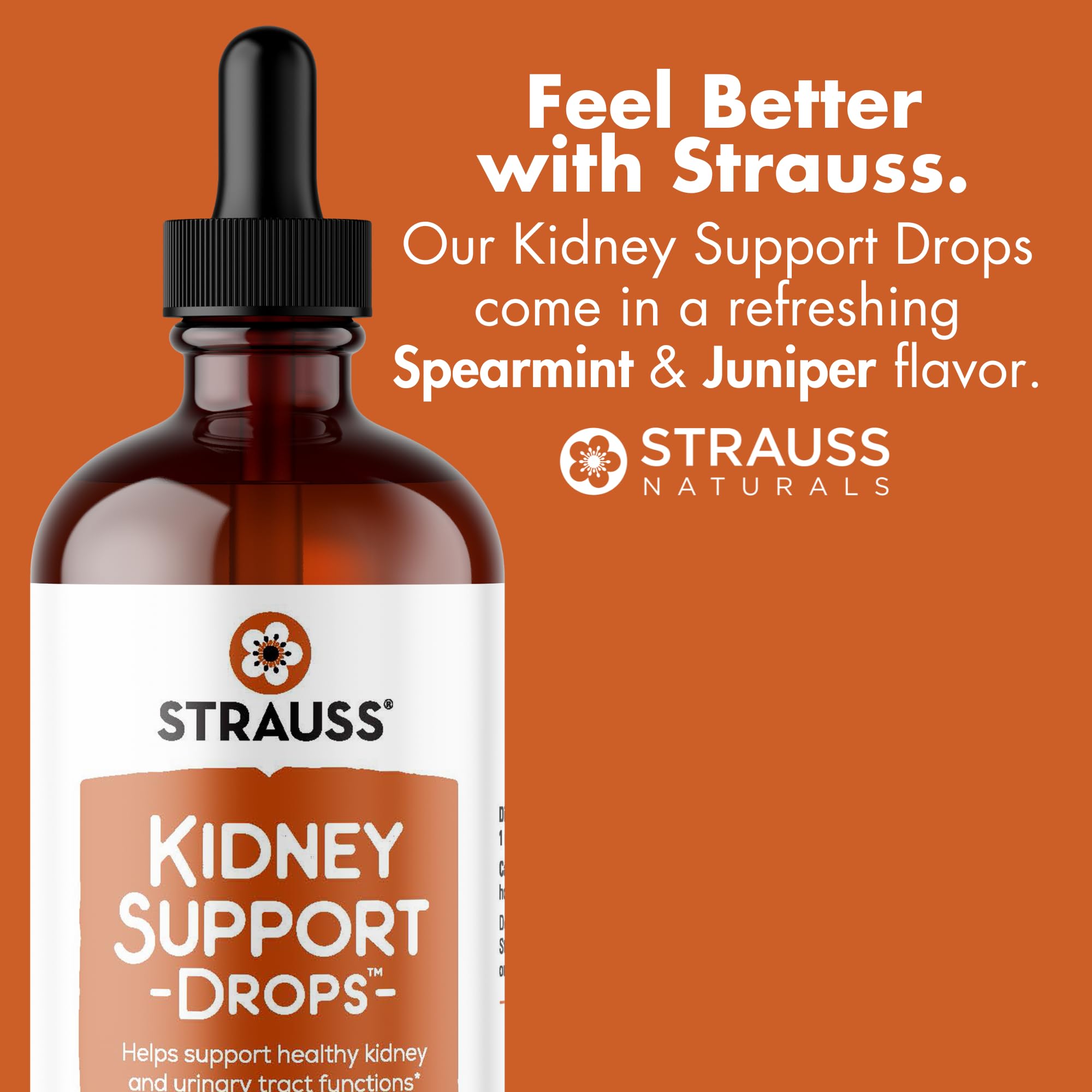 Strauss Naturals Kidney Support Drops – Herbal Kidney Support Supplement for Men and Women – Helps with Kidney Health and Urinary Tract Function – Vegan & Non-GMO – Spearmint Flavored – 100 ml Bottle Strauss Heartdrops buy supplements canada