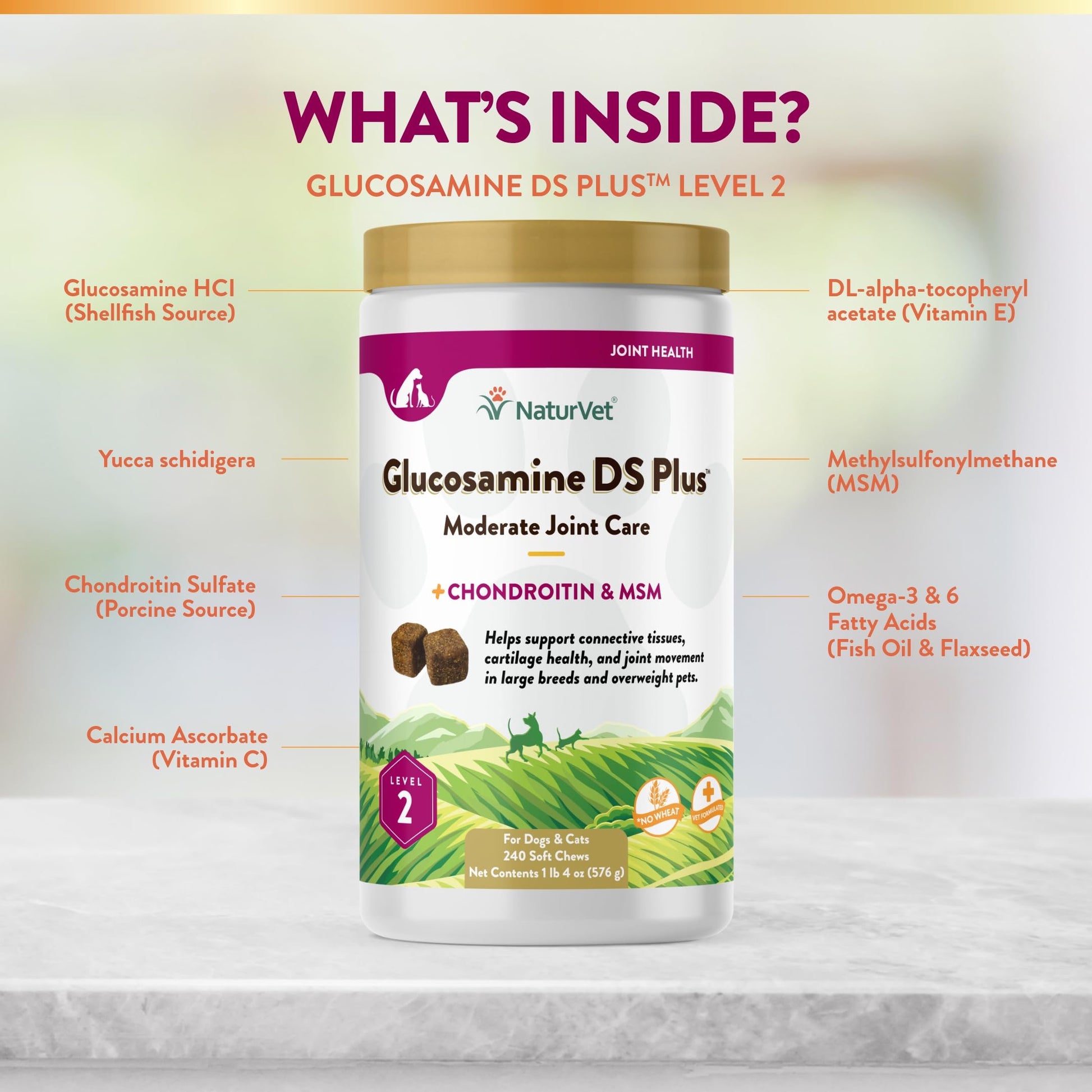NaturVet – Glucosamine DS Plus - Level 2 Moderate Care – Supports Healthy Hip & Joint Function – Enhanced with Glucosamine, MSM & Chondroitin – for Dogs & Cats – 240 Soft Chews NaturVet buy supplements canada