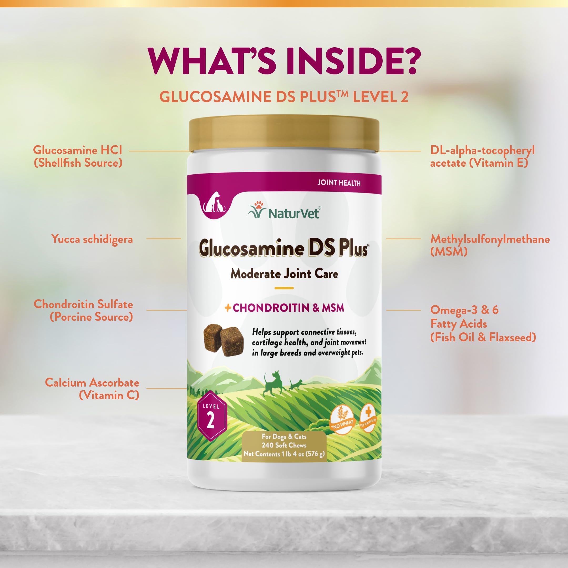 NaturVet – Glucosamine DS Plus - Level 2 Moderate Care – Supports Healthy Hip & Joint Function – Enhanced with Glucosamine, MSM & Chondroitin – for Dogs & Cats – 240 Soft Chews NaturVet buy supplements canada