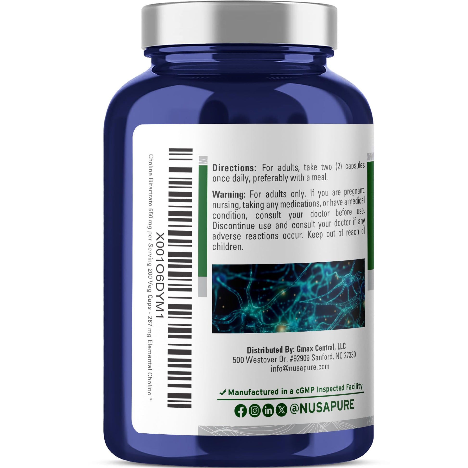 NusaPure Choline Bitartrate - Suitable for Vegetarian/Vegan, Non - GMO - 650 mg 200 Capsules NusaPure buy supplements canada