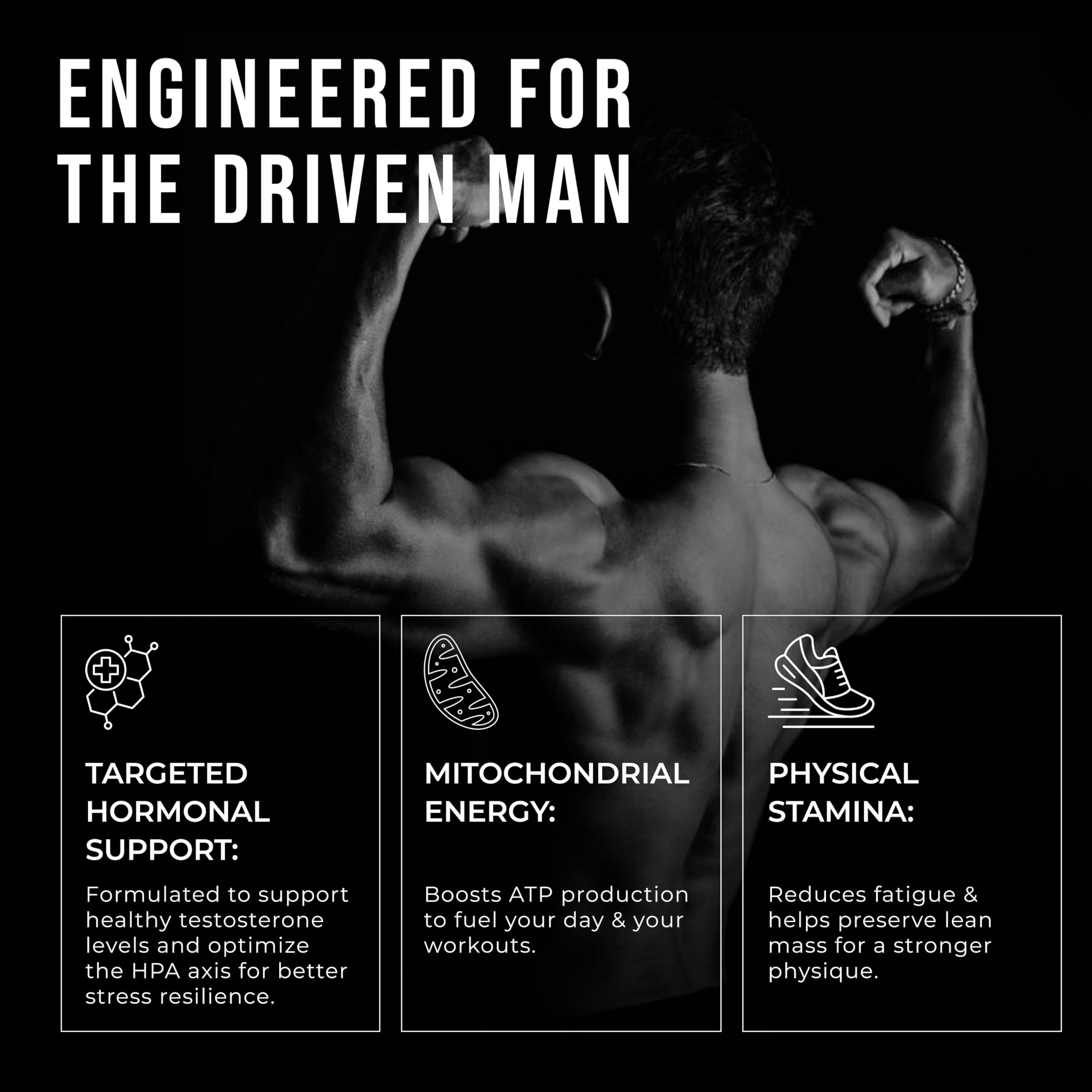 ERODUS Formula for Men - Advanced Testosterone Support Powder - Energy & Gym Supplement for Men - Supports Healthy Testosterone Levels & Physical Performance - with Ashwagandha (30 Day Supply) ERODUS buy supplements canada
