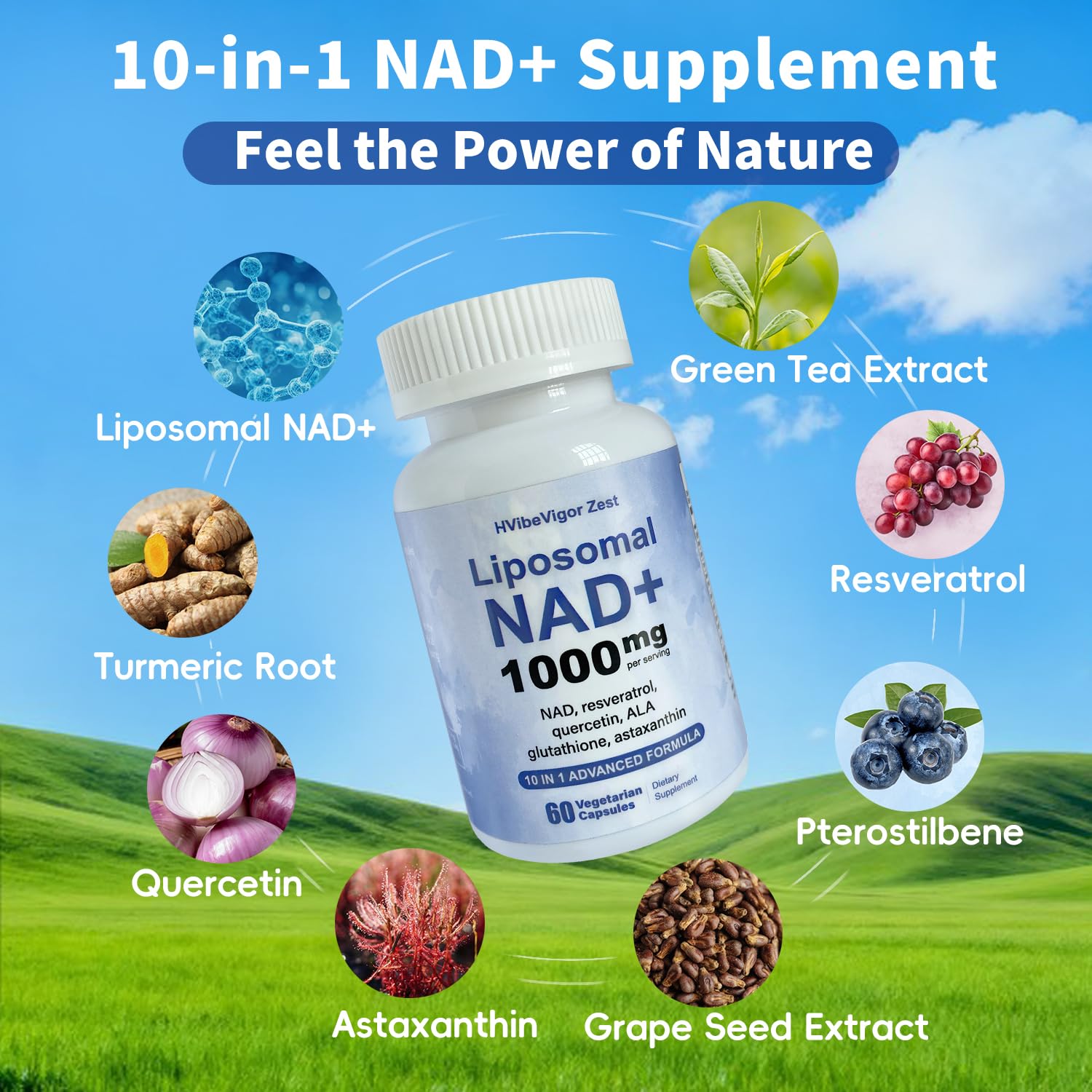 NAD Supplement 1000mg, Liposomal NAD+ Supplement with Resveratrol, Glutathione & Astaxanthin - Support Cellular Health, Stamina & Healthy Aging, NMN Supplement Alternative – 60 Capsules HVibeVigor Zest buy supplements canada