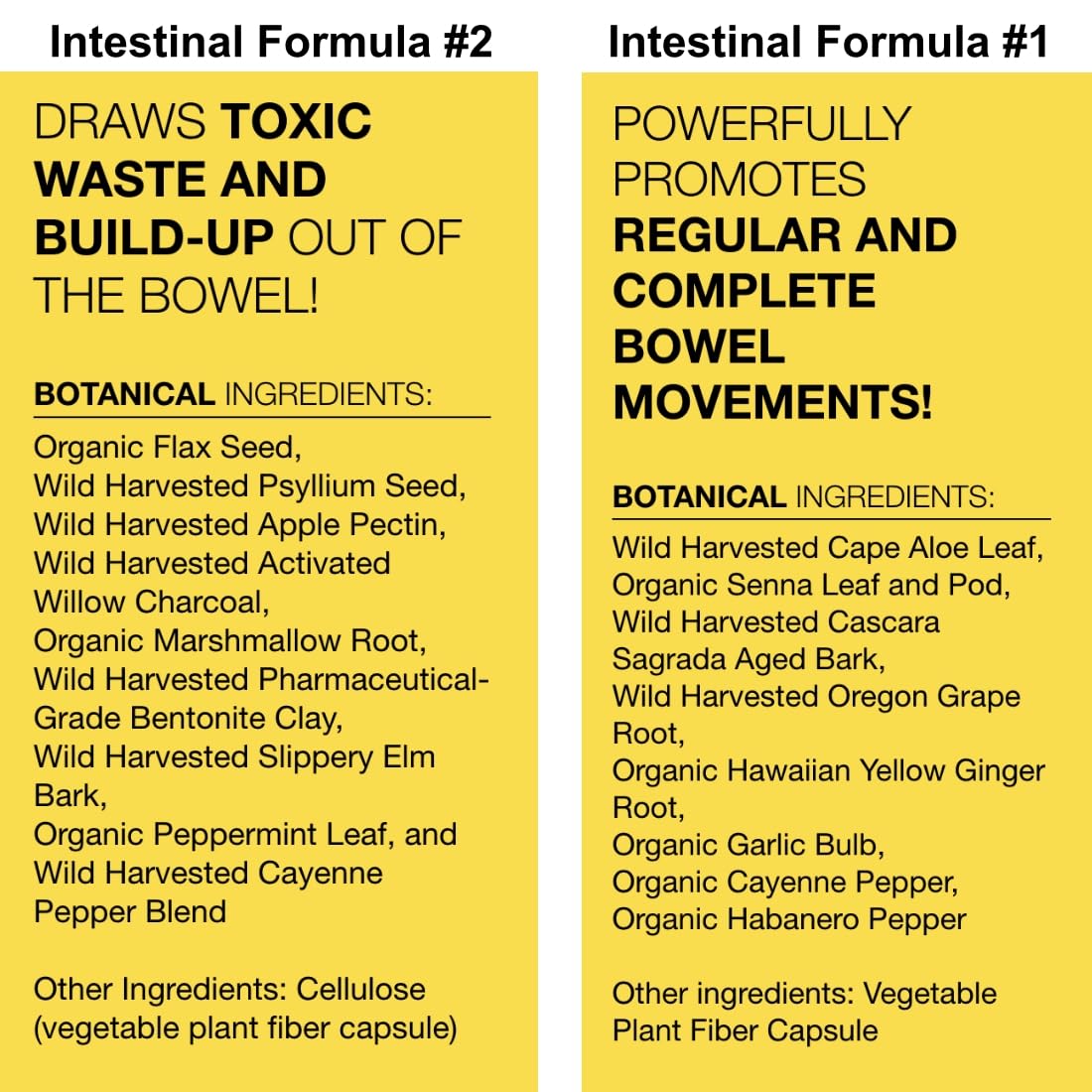 Dr. Schulze's Intestinal Formula #2 (8 Ounces) and Intestinal Formula #1 Capsules Dr. Schulze's buy supplements canada