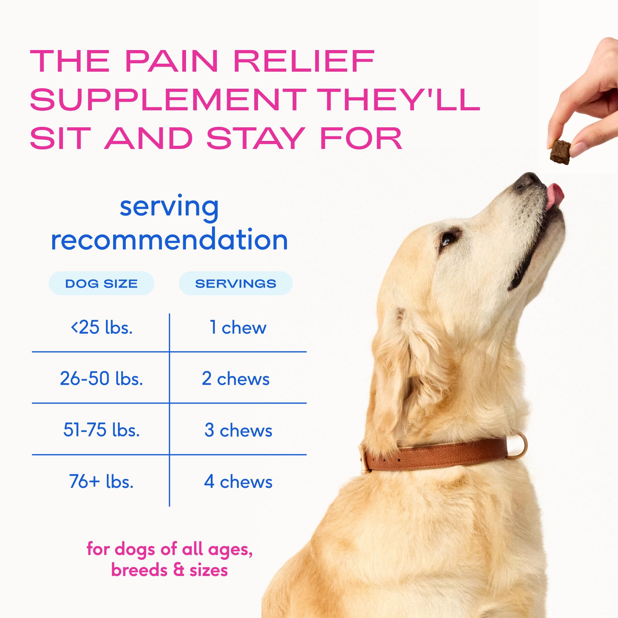 Native Pet Inflammatory Care - Pain Relief for Dogs - Green-Lipped Mussel, Turmeric & Collagen for Dogs - Hip and Joint Supplement Supports Healthy Inflammatory Response & Joint Comfort - 60 Chews Native Pet buy supplements canada